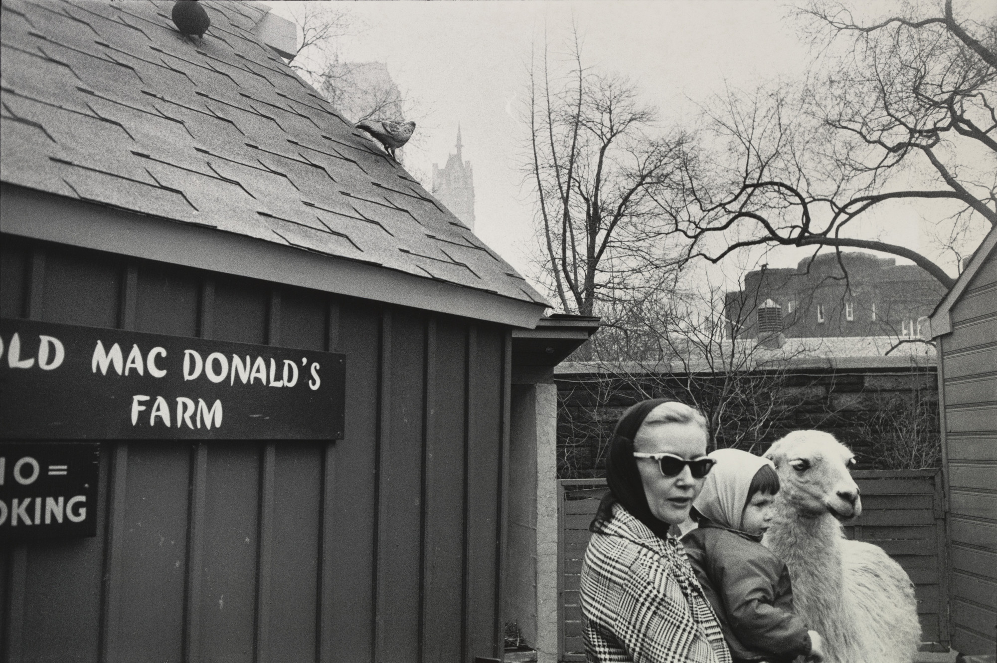 Garry Winogrand. Untitled