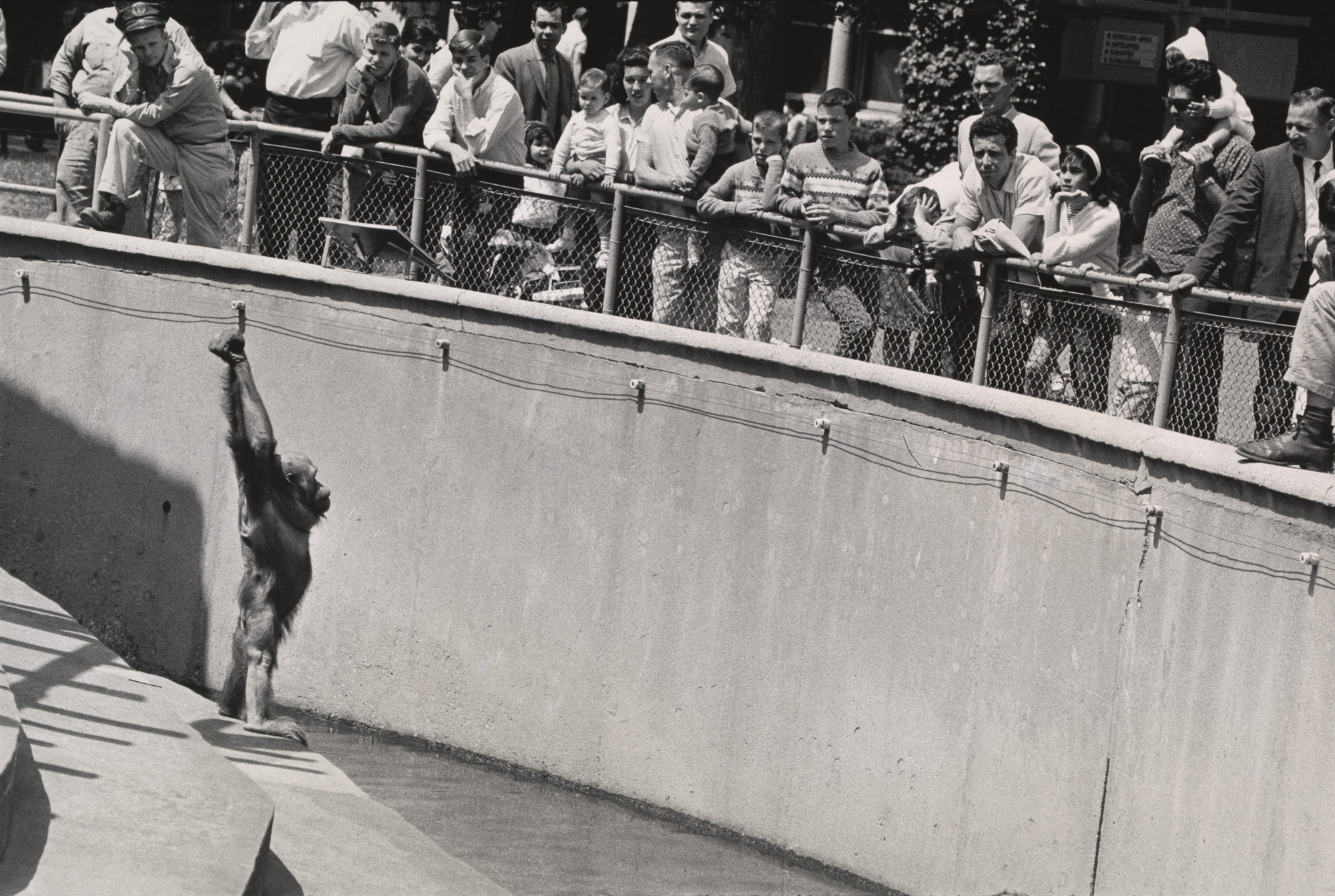 Garry Winogrand. Untitled