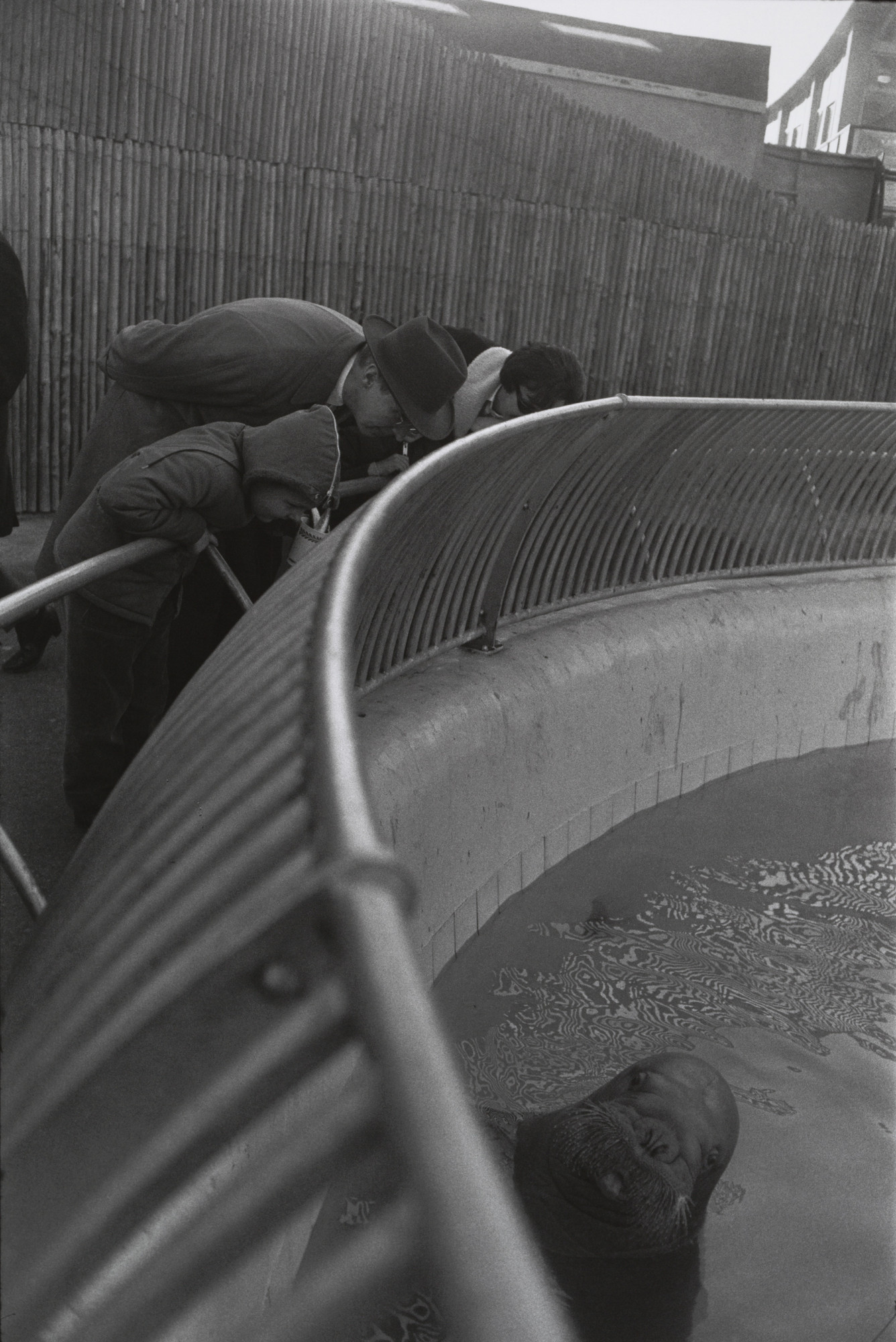 Garry Winogrand. New York