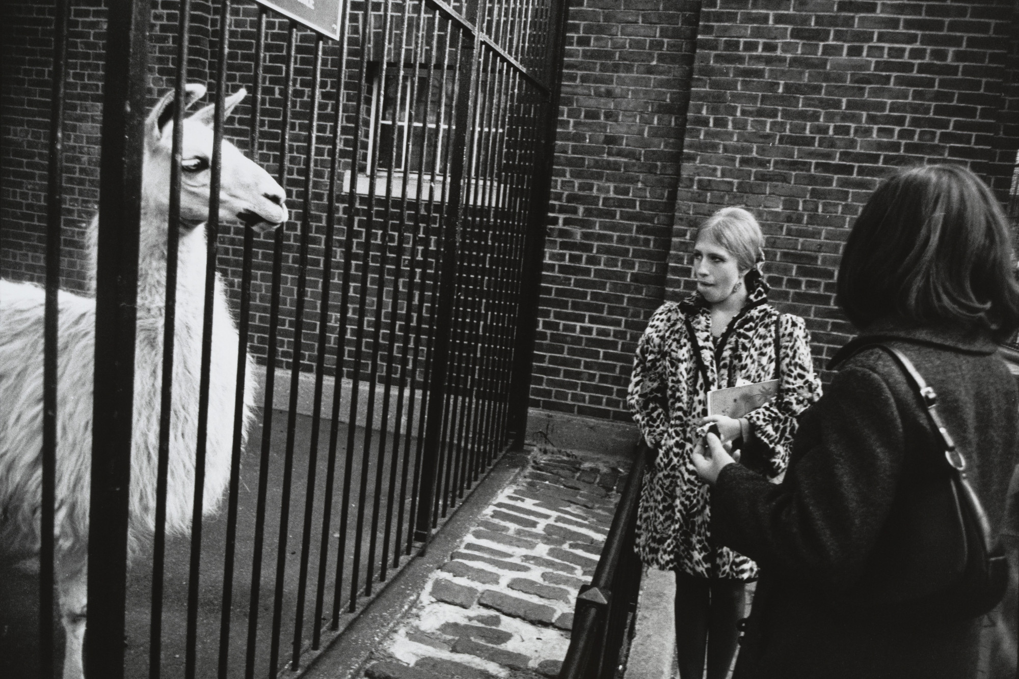 Garry Winogrand. Untitled