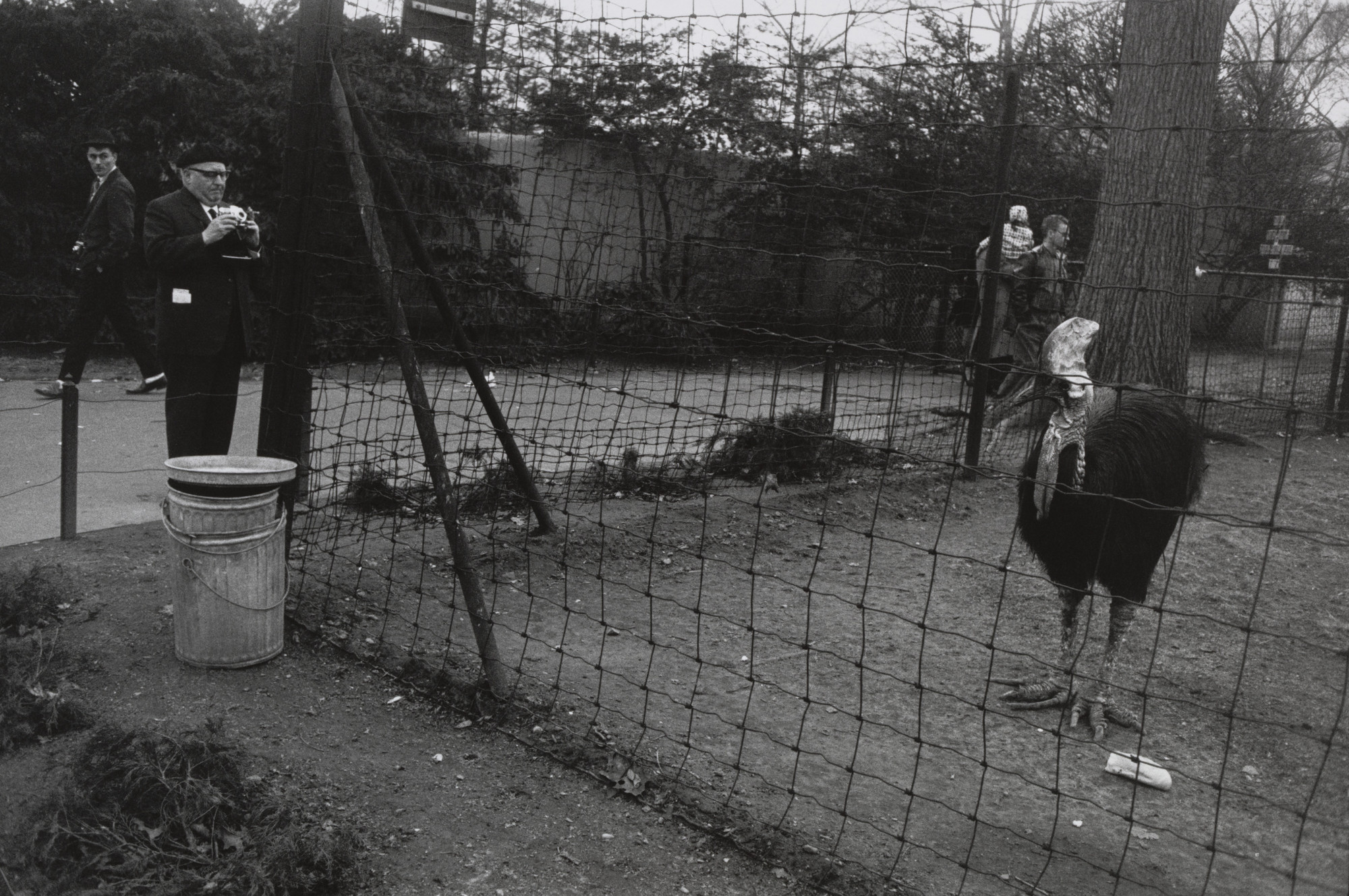 Garry Winogrand. Untitled