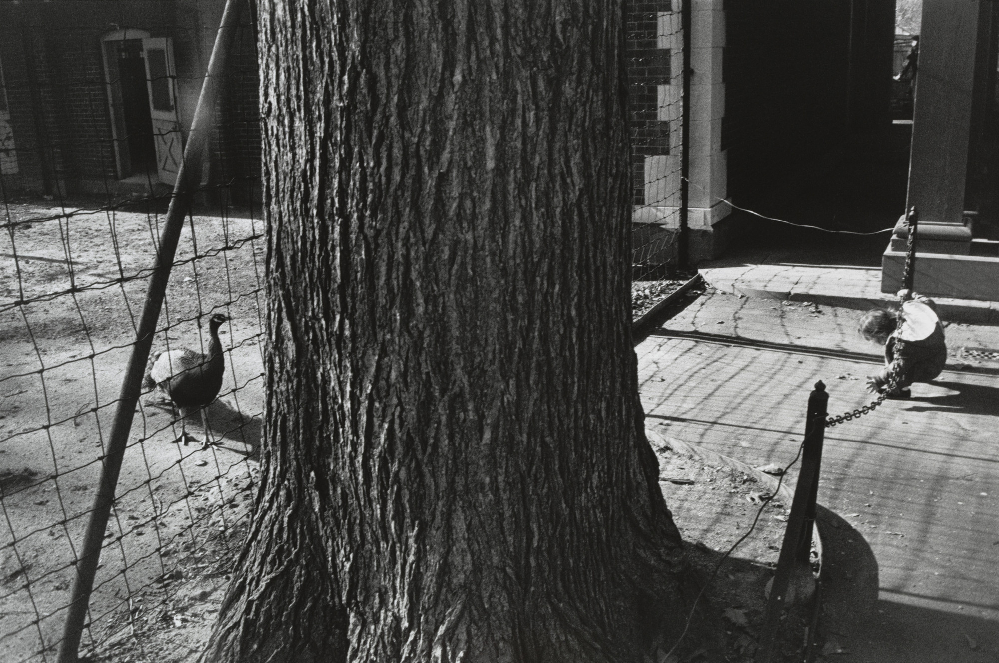 Garry Winogrand. Untitled