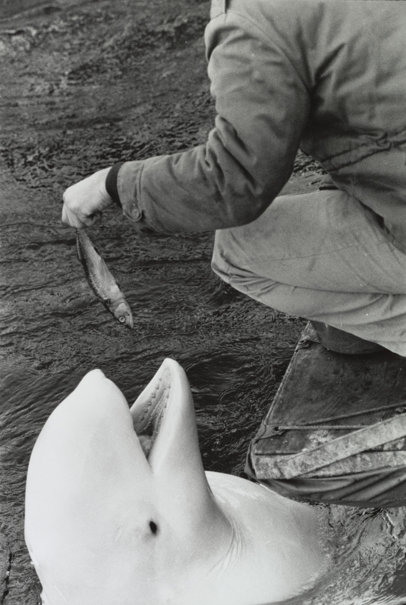 Garry Winogrand. New York
