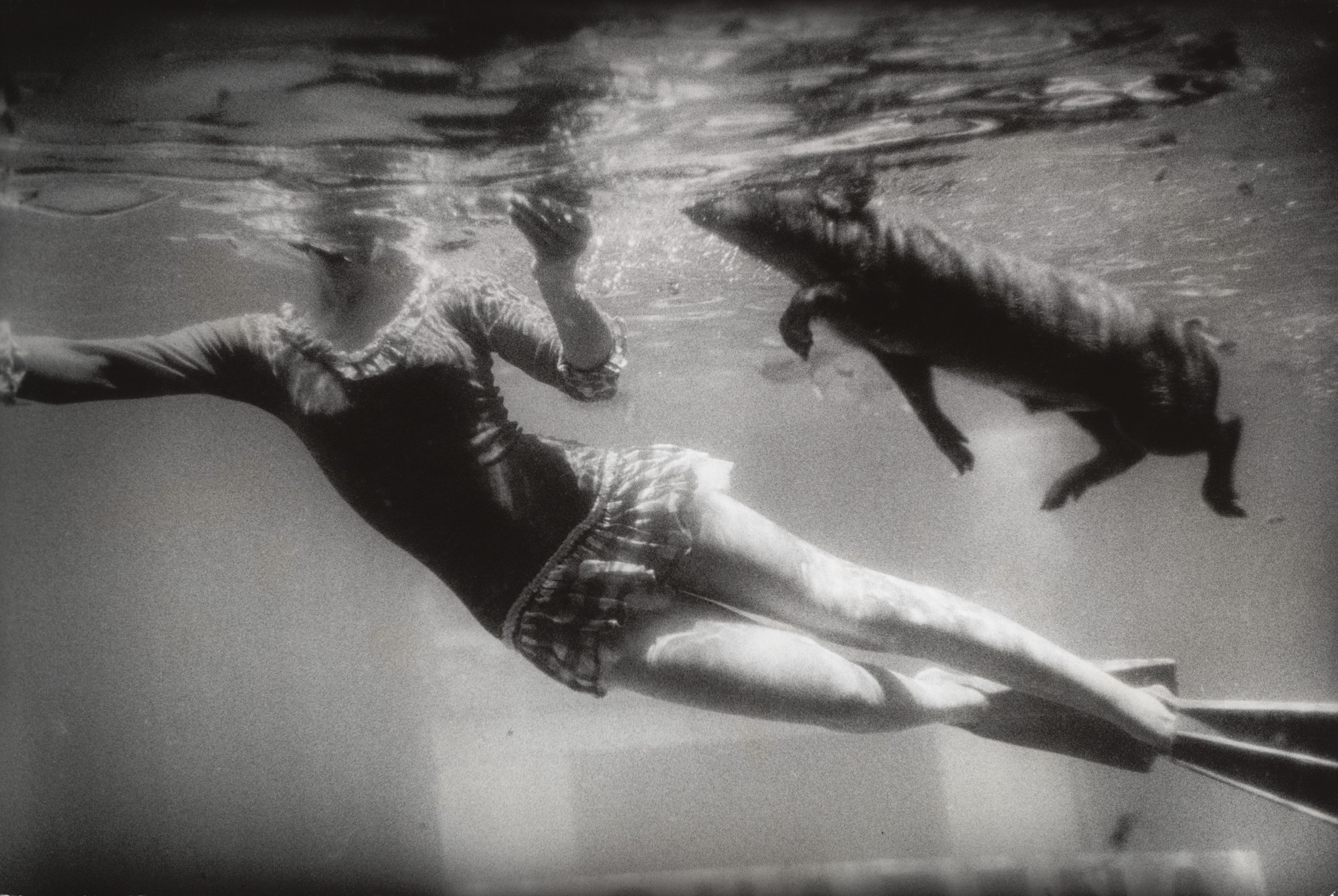 Garry Winogrand. Aquarena Springs, San Marcos, Texas. 1964