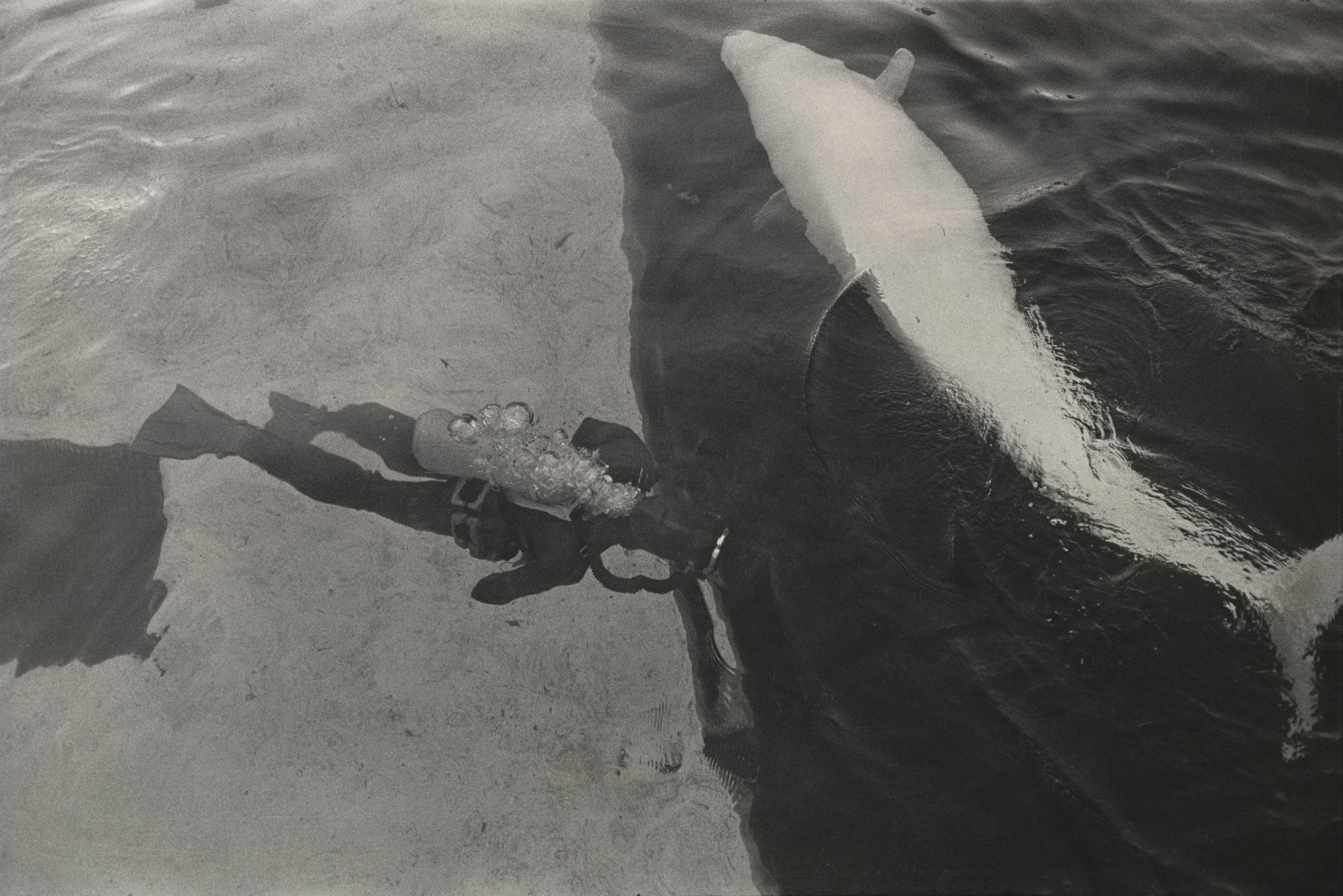 Garry Winogrand. Untitled