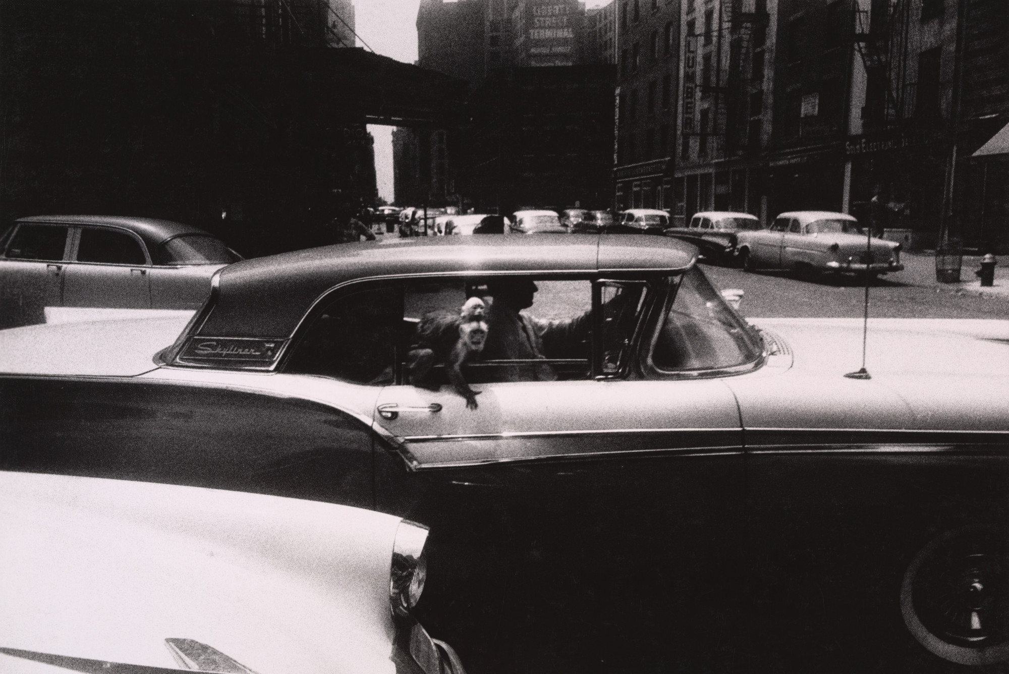 Garry Winogrand. New York