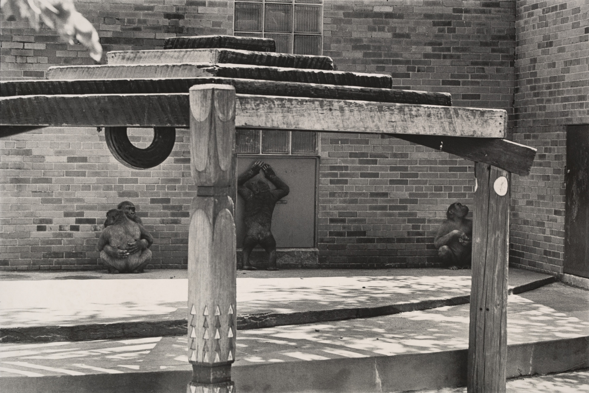 Garry Winogrand. Untitled