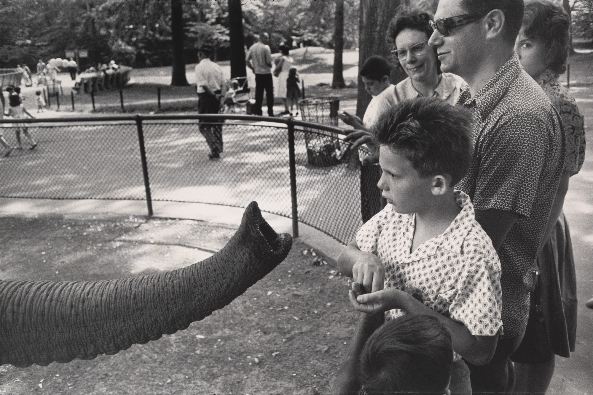 Garry Winogrand. Bronx Zoo, New York