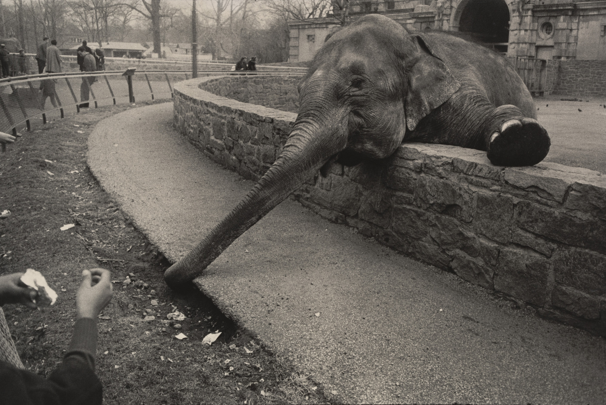 Garry Winogrand. Untitled