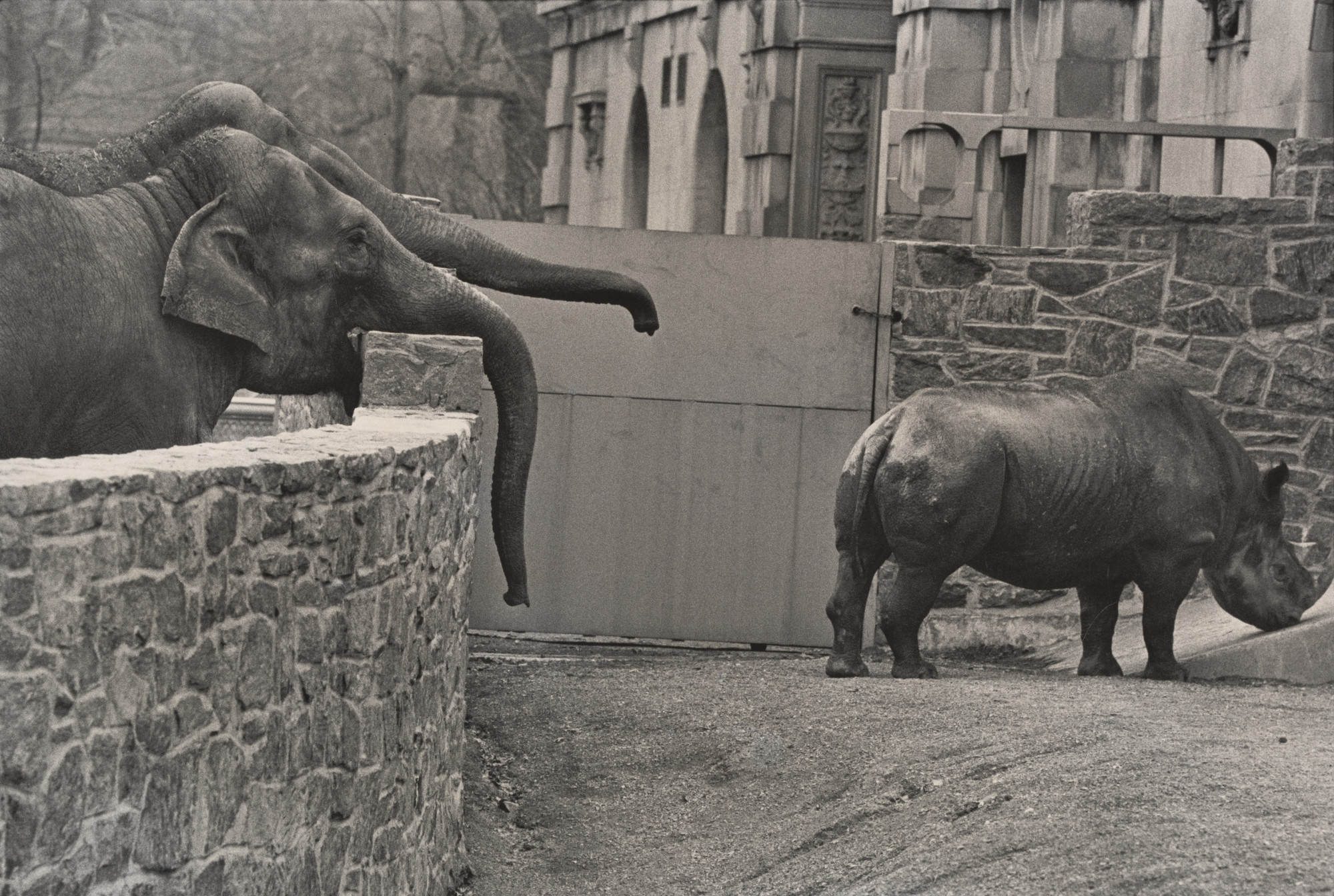 Garry Winogrand. Untitled