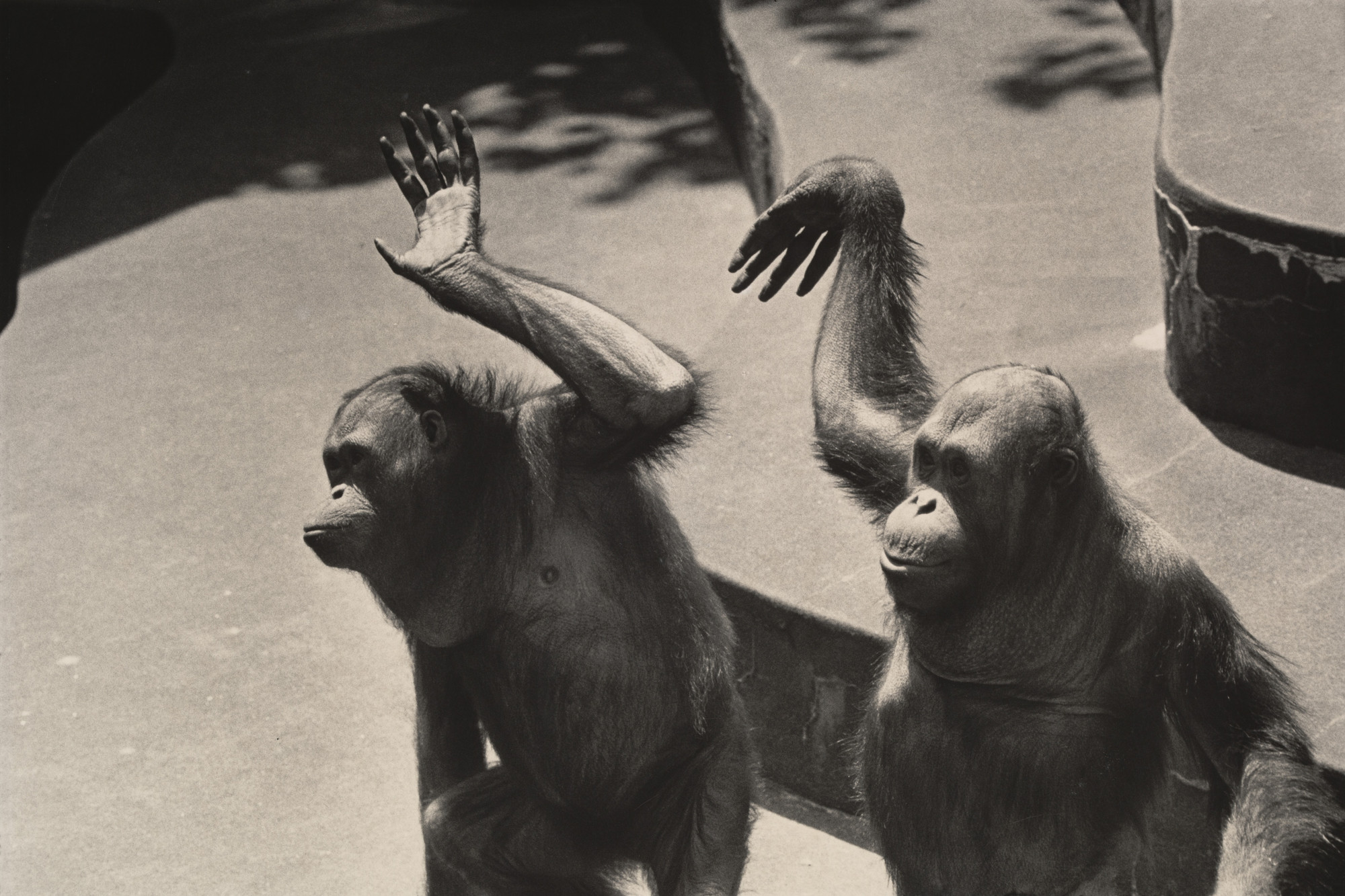 Garry Winogrand. New York