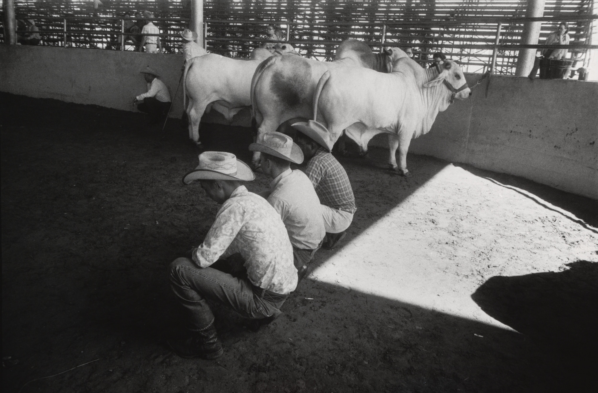 Garry Winogrand. State Fair of Texas, Dallas. 1964