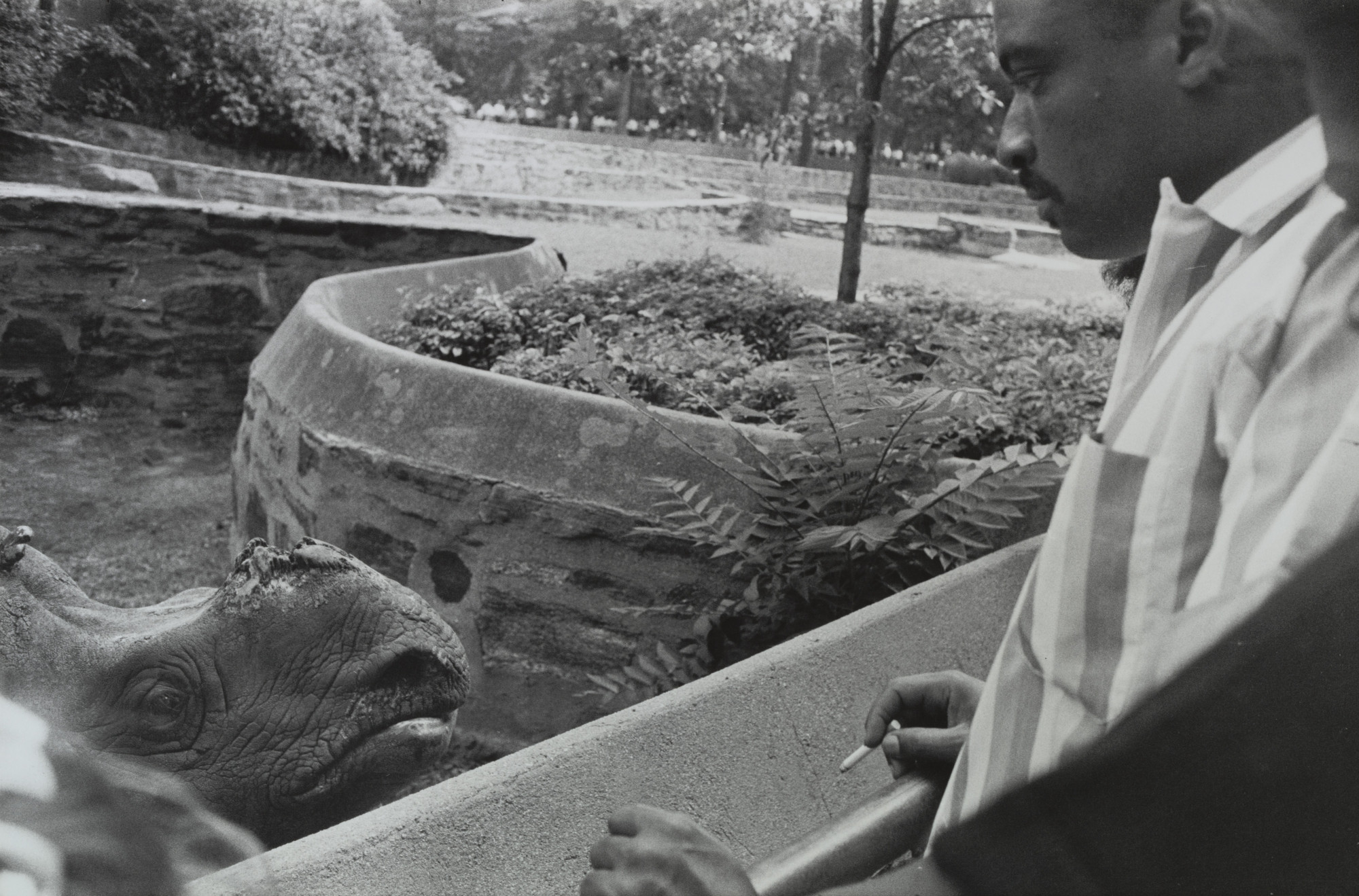 Garry Winogrand. Bronx Zoo, New York