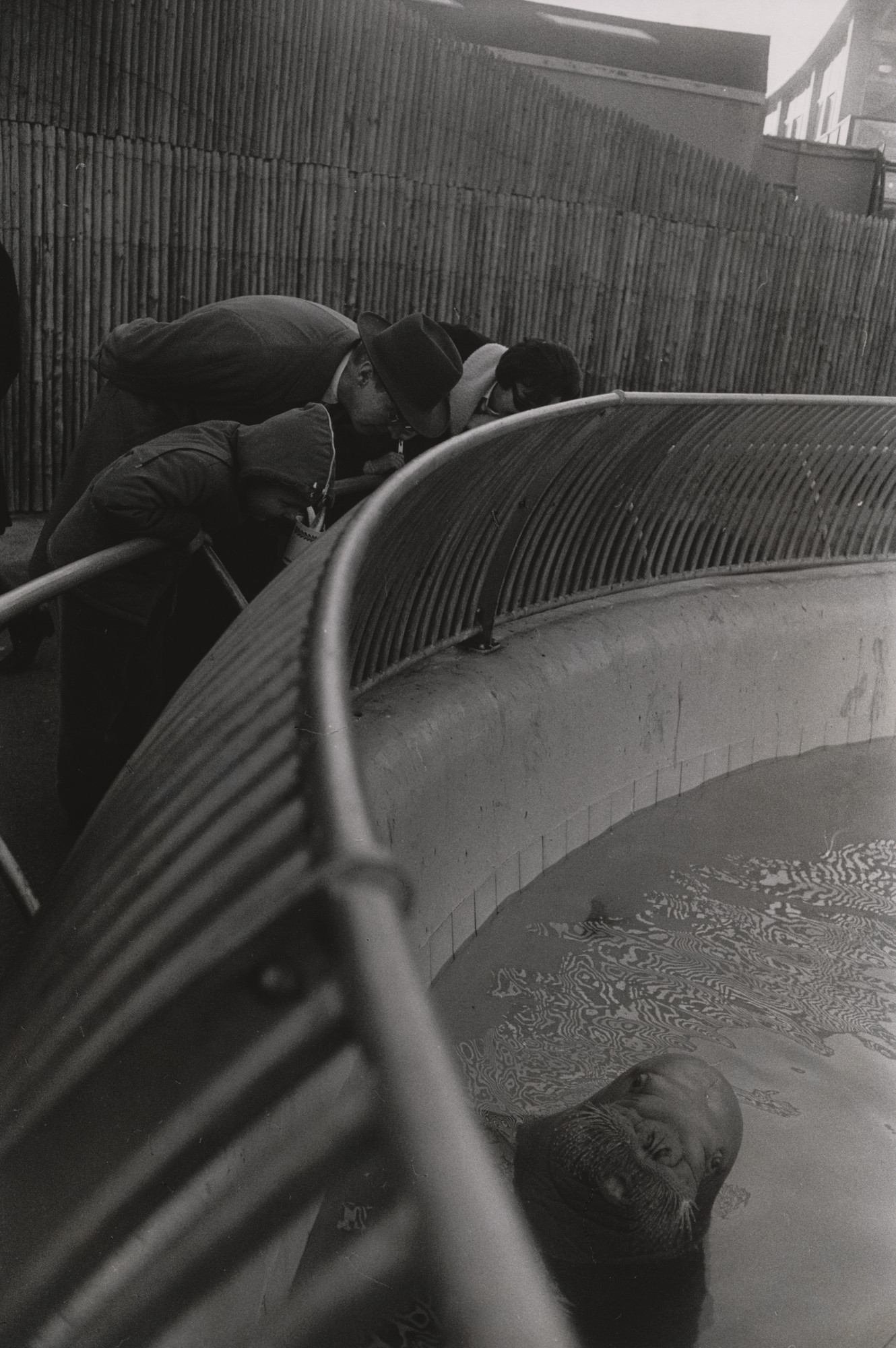 Garry Winogrand. New York
