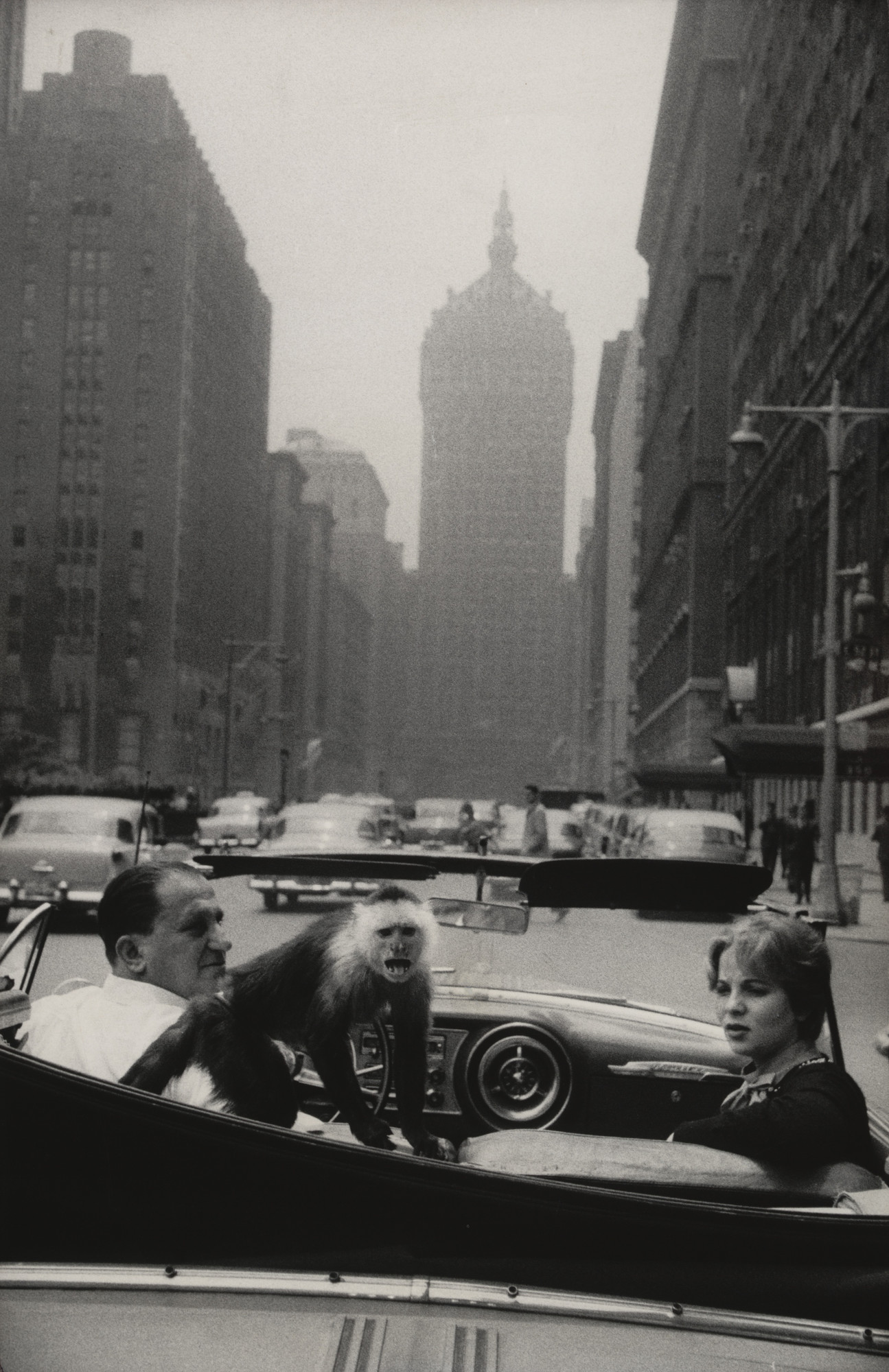 Garry Winogrand. Park Avenue, New York