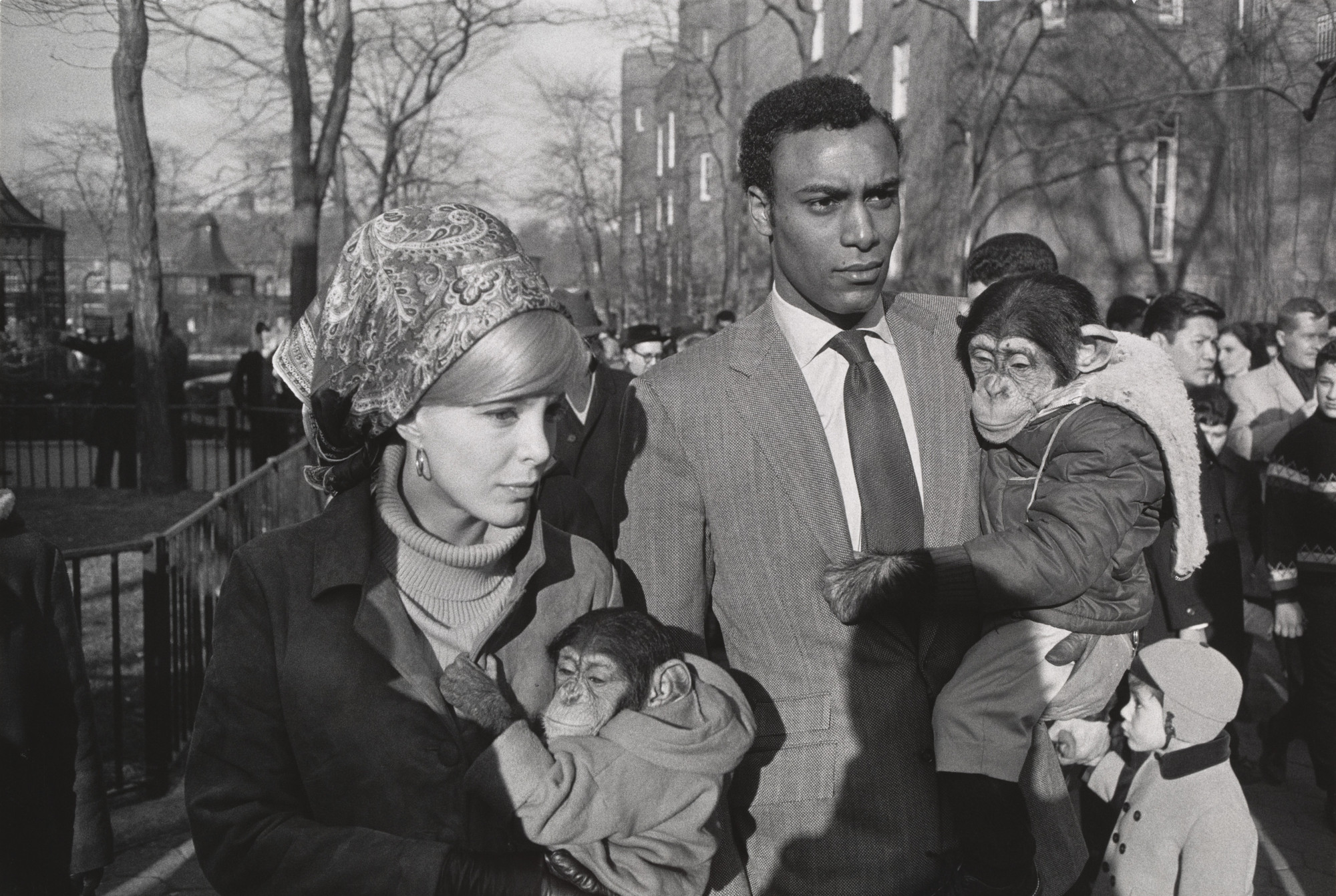 Garry Winogrand. Central Park Zoo, New York