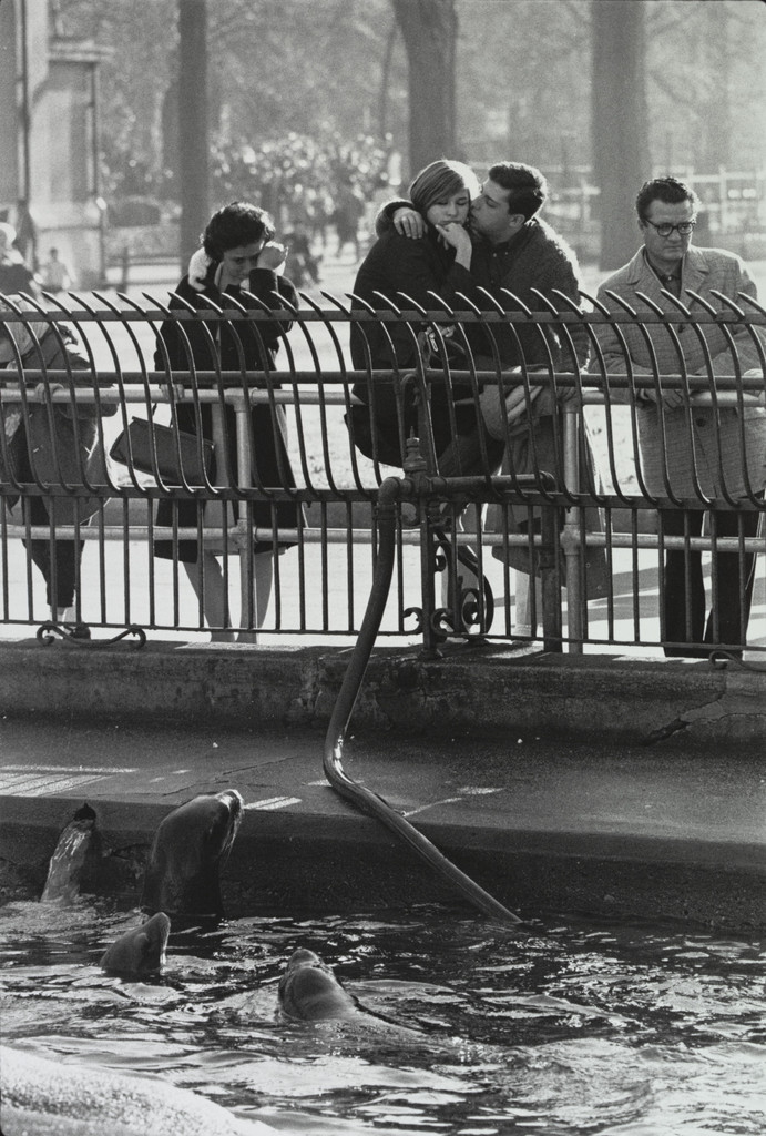 Central Park Zoo, New York