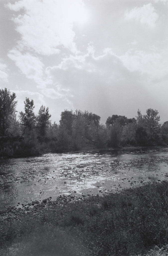 Along St. Vrain Creek, West of Longmont, Colorado