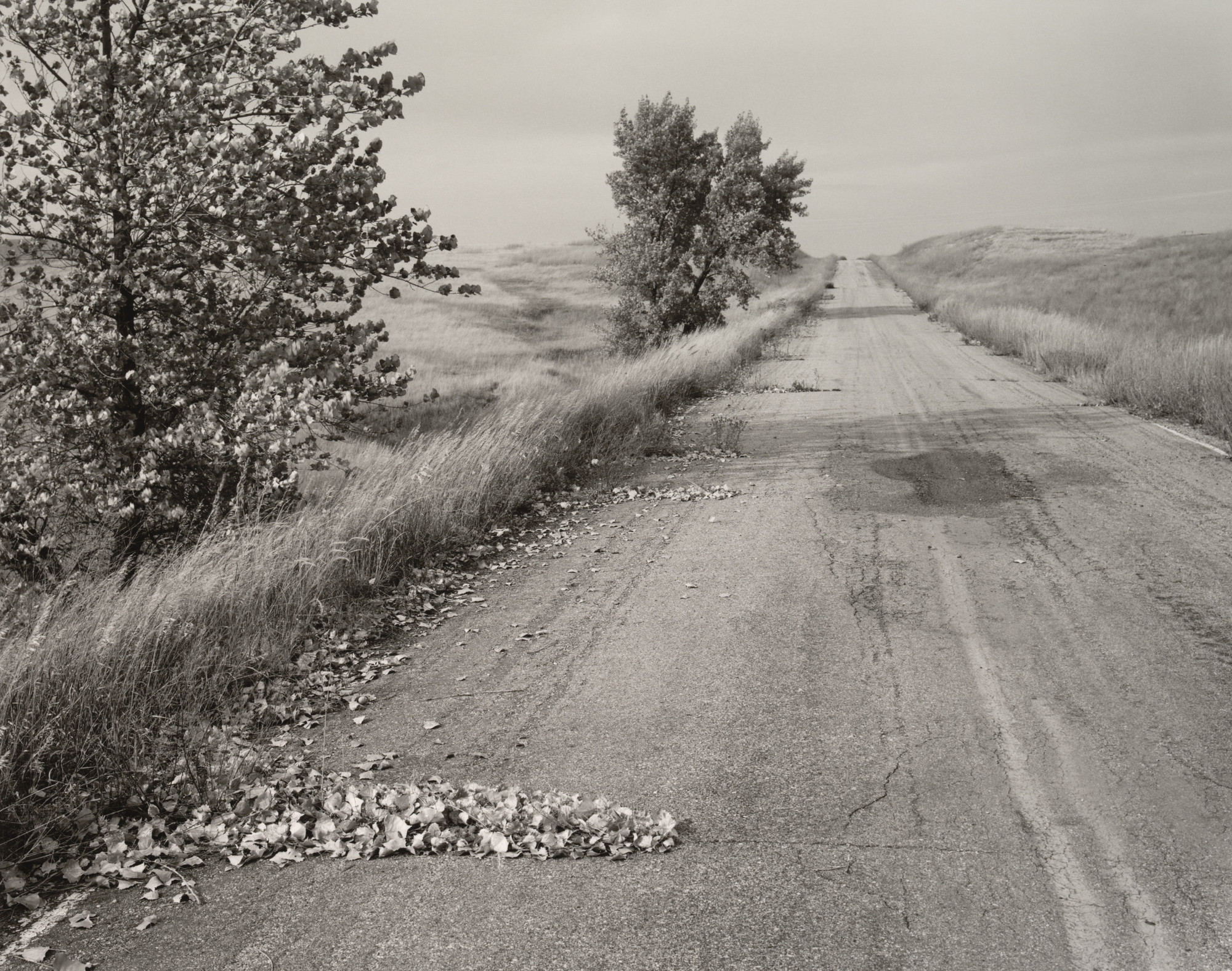 Robert Adams. Nebraska State Highway 2, Box Butte County, Nebraska