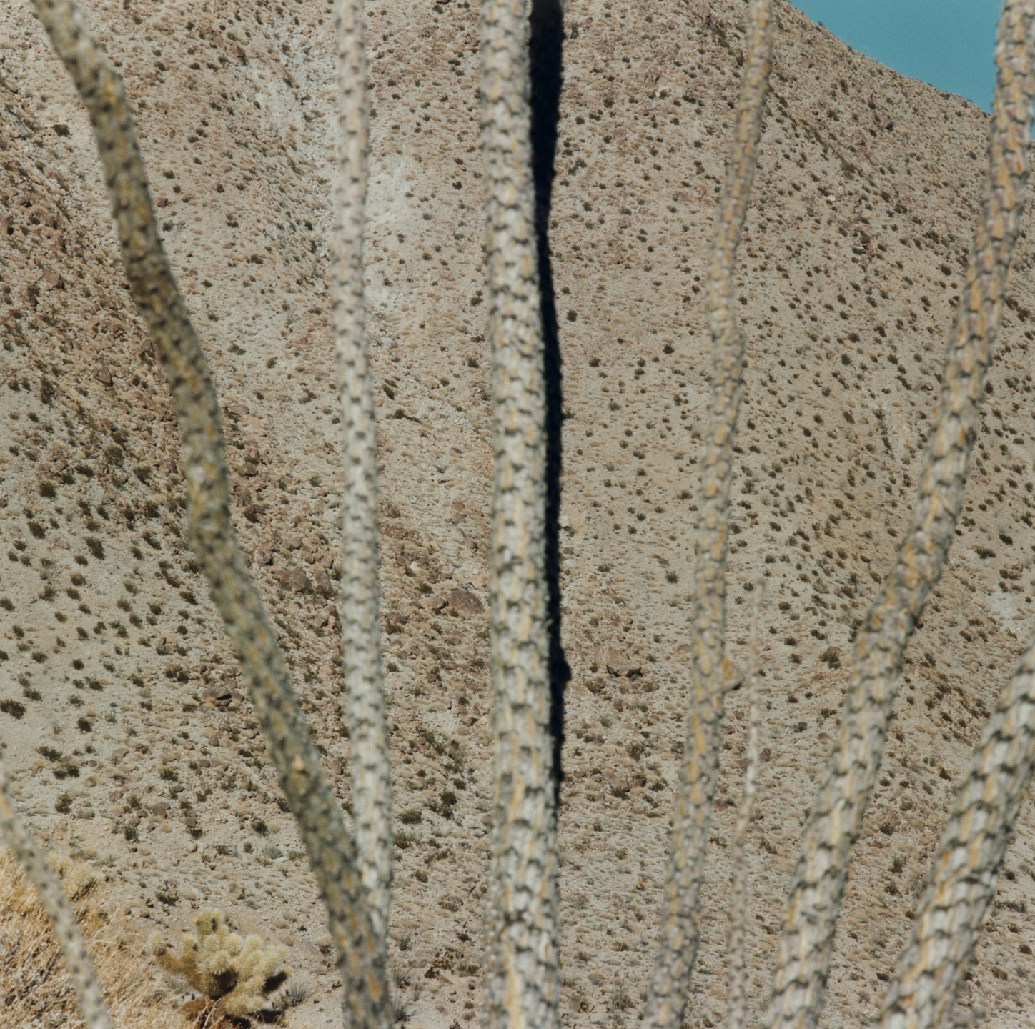 Terry Husebye. Untitled. May, 1979