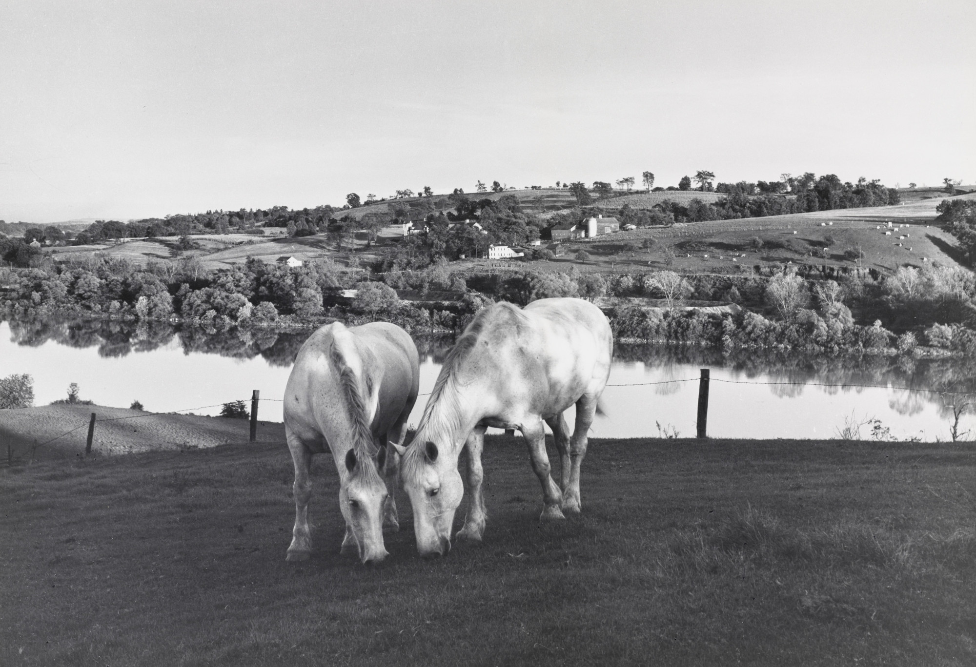 Kosti Ruohomaa. Horses in the Mohawk Valley. 1945
