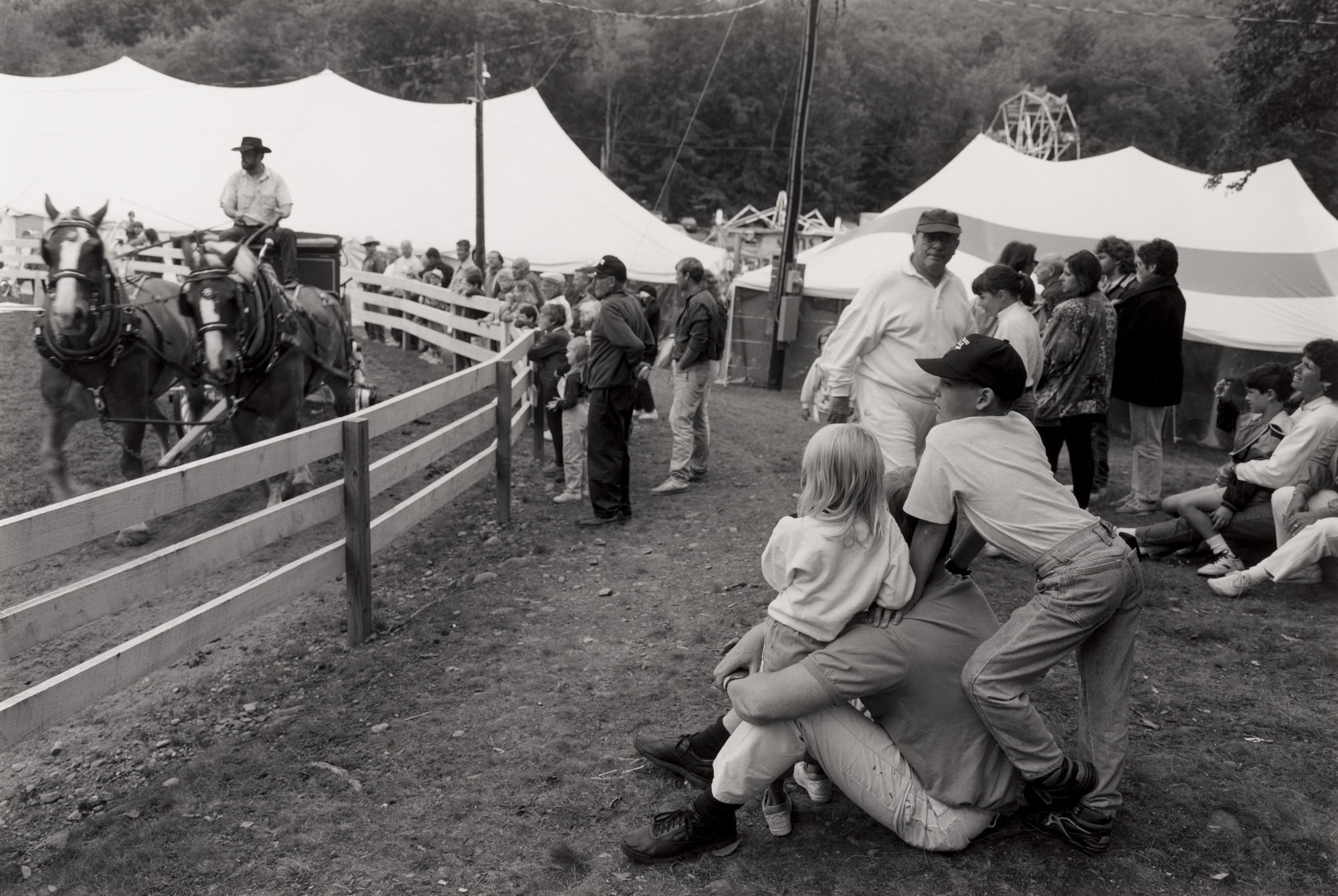 Shelly Rusten. Boy, Sullivan County Fair