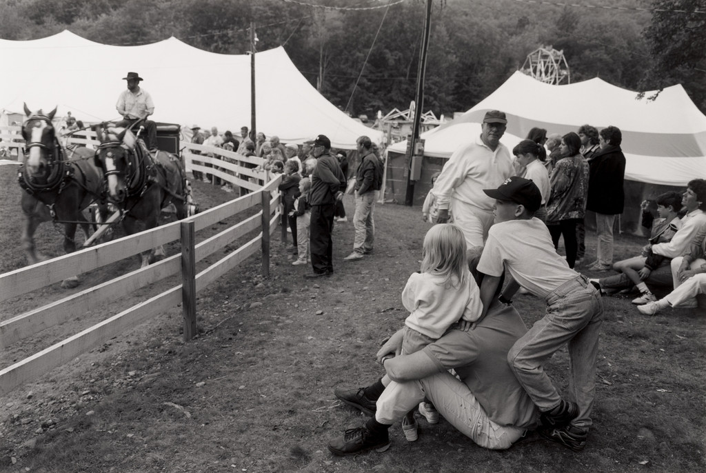 Boy, Sullivan County Fair