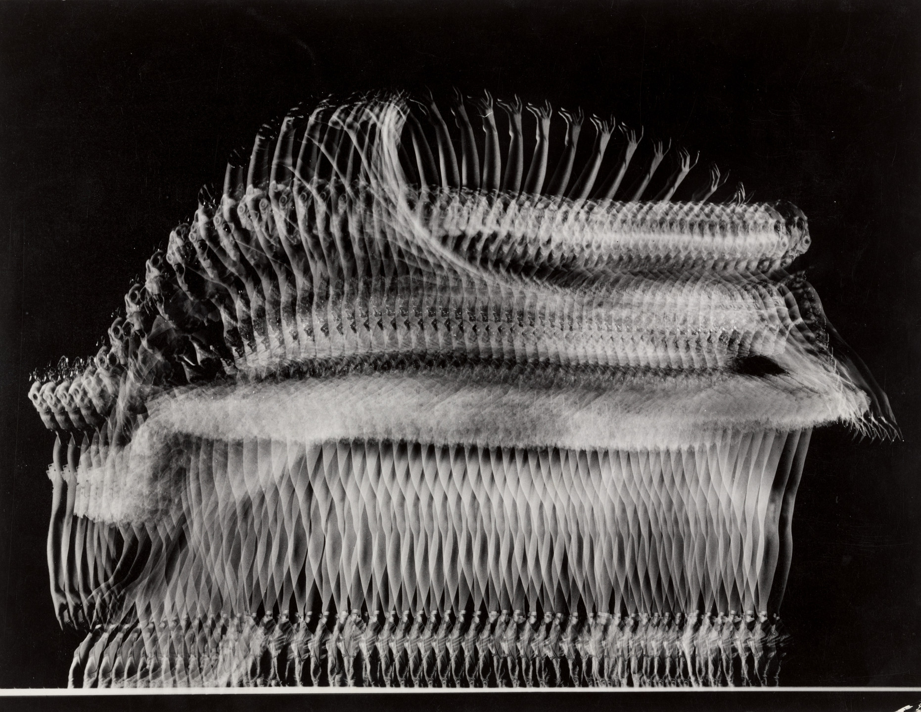 The image shows multiple overlapping exposures of a figure in motion against a black background, creating a layered effect. The predominant colors are black and white, with the figure appearing as a series of translucent, white forms. This is an AI generated description. To give feedback, email ai@moma.org.