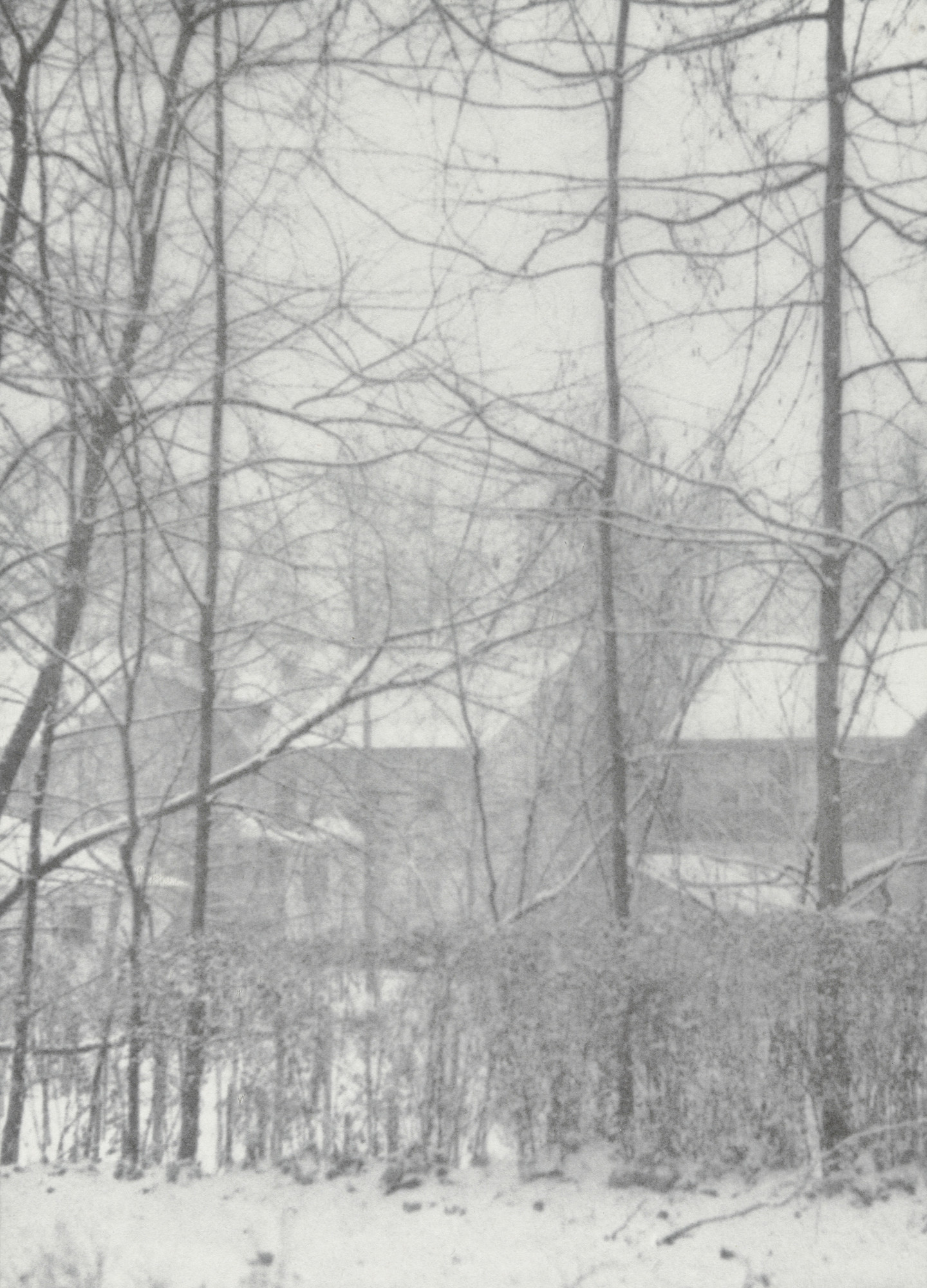 Paul L. Anderson. Winter Pattern #2