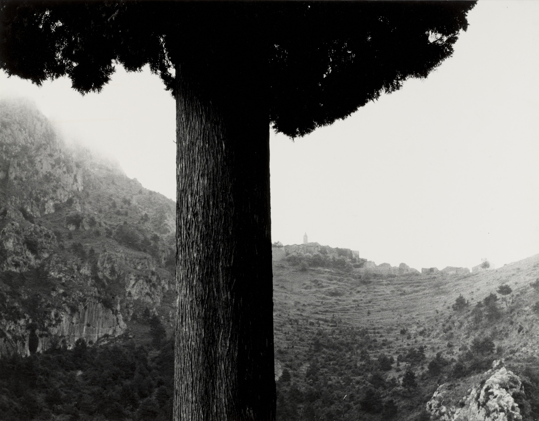 Lennart Olson. Ste Agenes, Provence. 1955