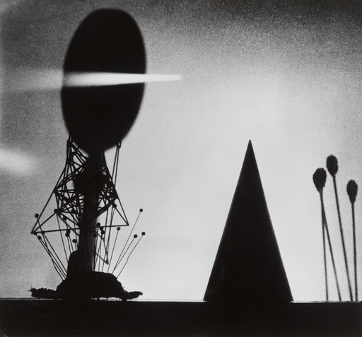 Nakaji Yasui (安井 仲治). Bird. 1940 | MoMA