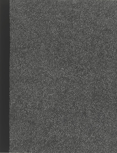 Untitled (Filter)