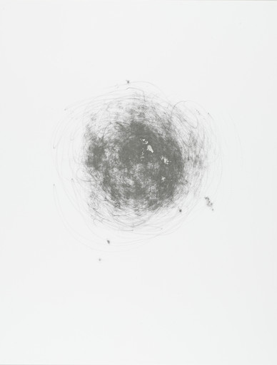 Untitled (Palm)