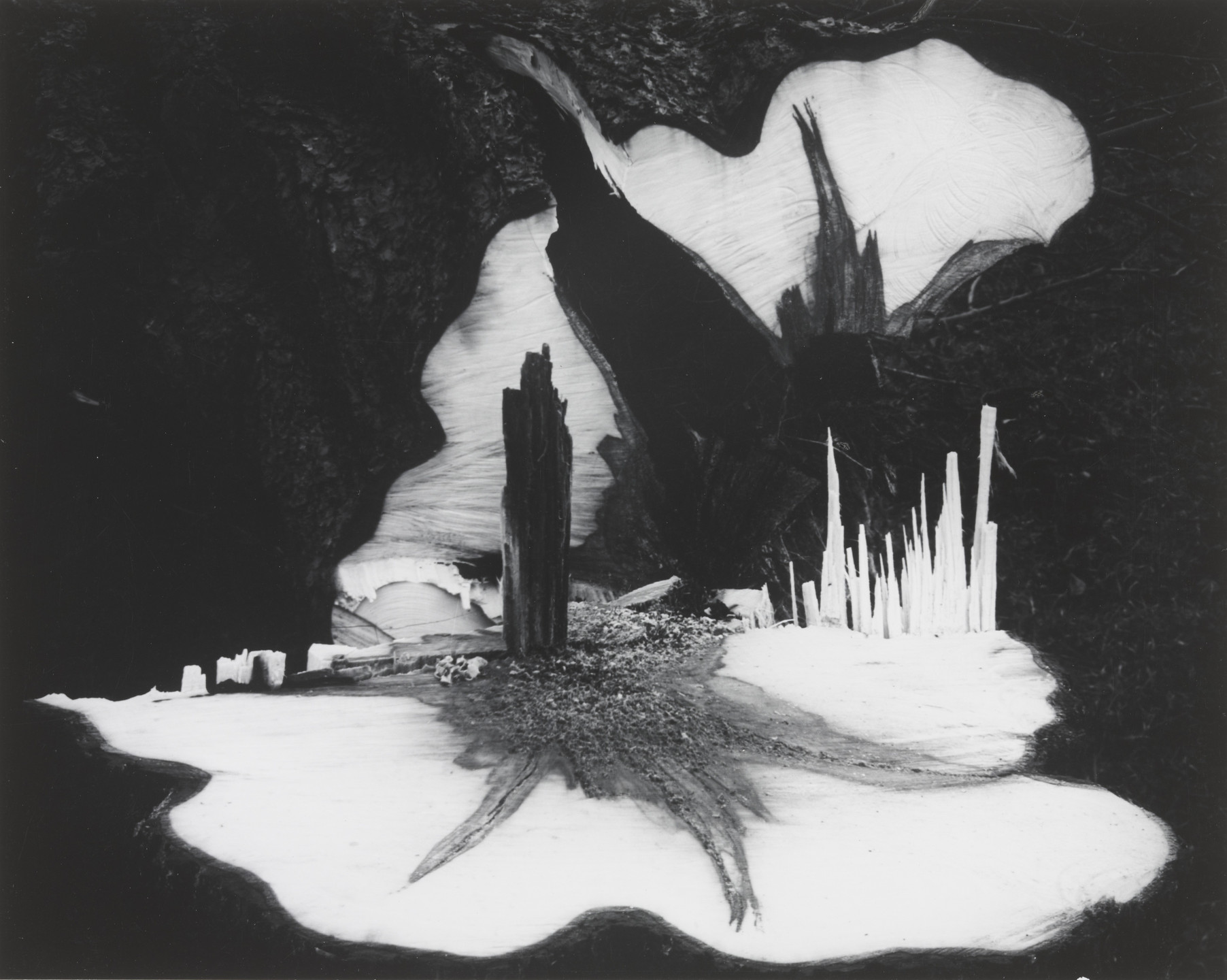 Paul Caponigro. Untitled. 1957