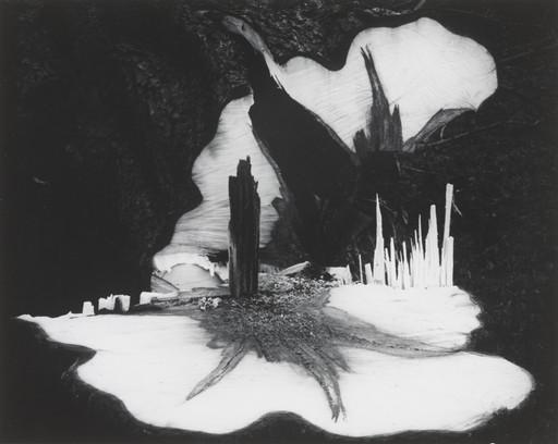 アート・デザイン・音楽 MEGALITHS PAUL CAPONIGRO W1siZiIsIjI0MDIyMCJdLFsicCIsIm