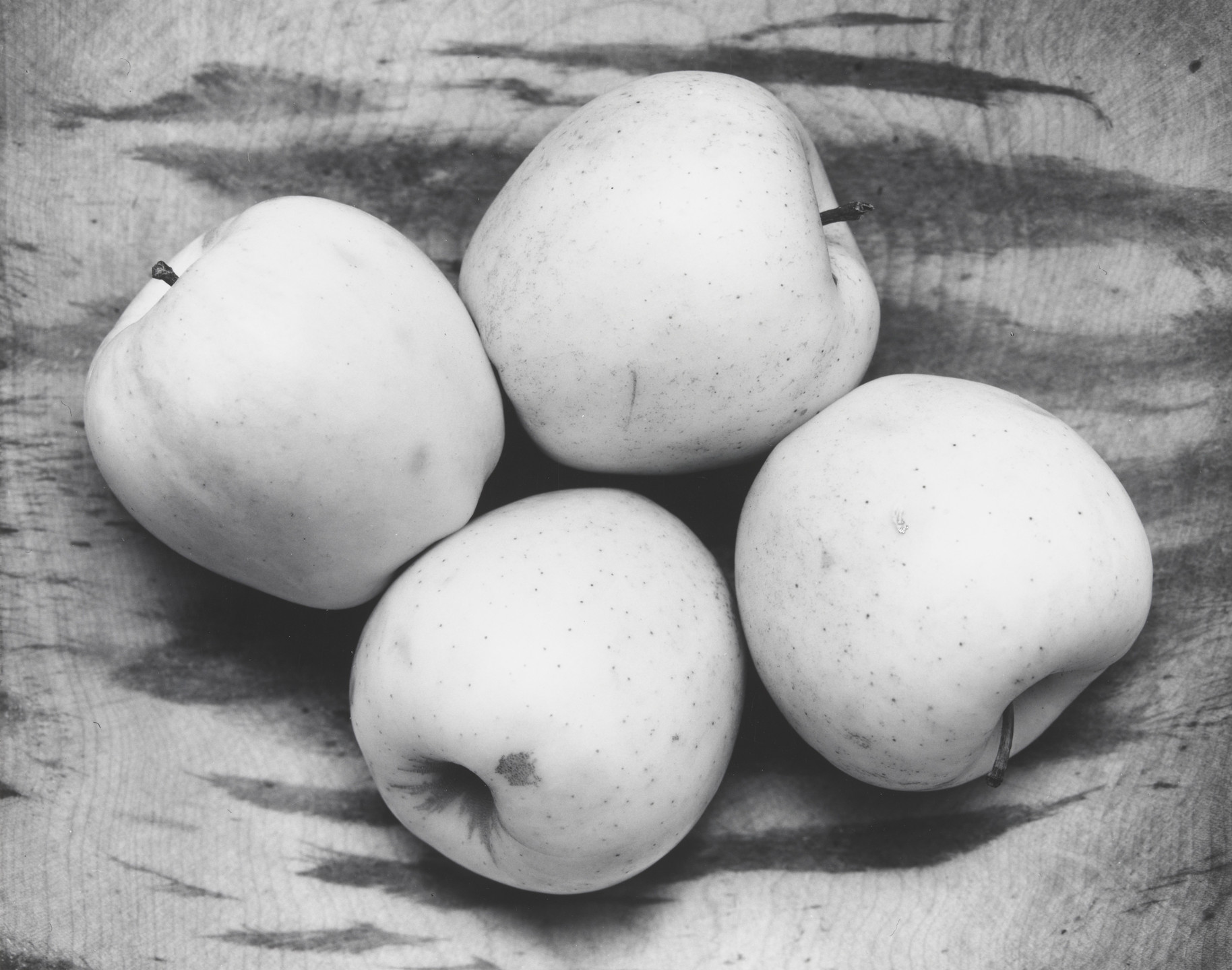 Paul Caponigro. Untitled. 1964