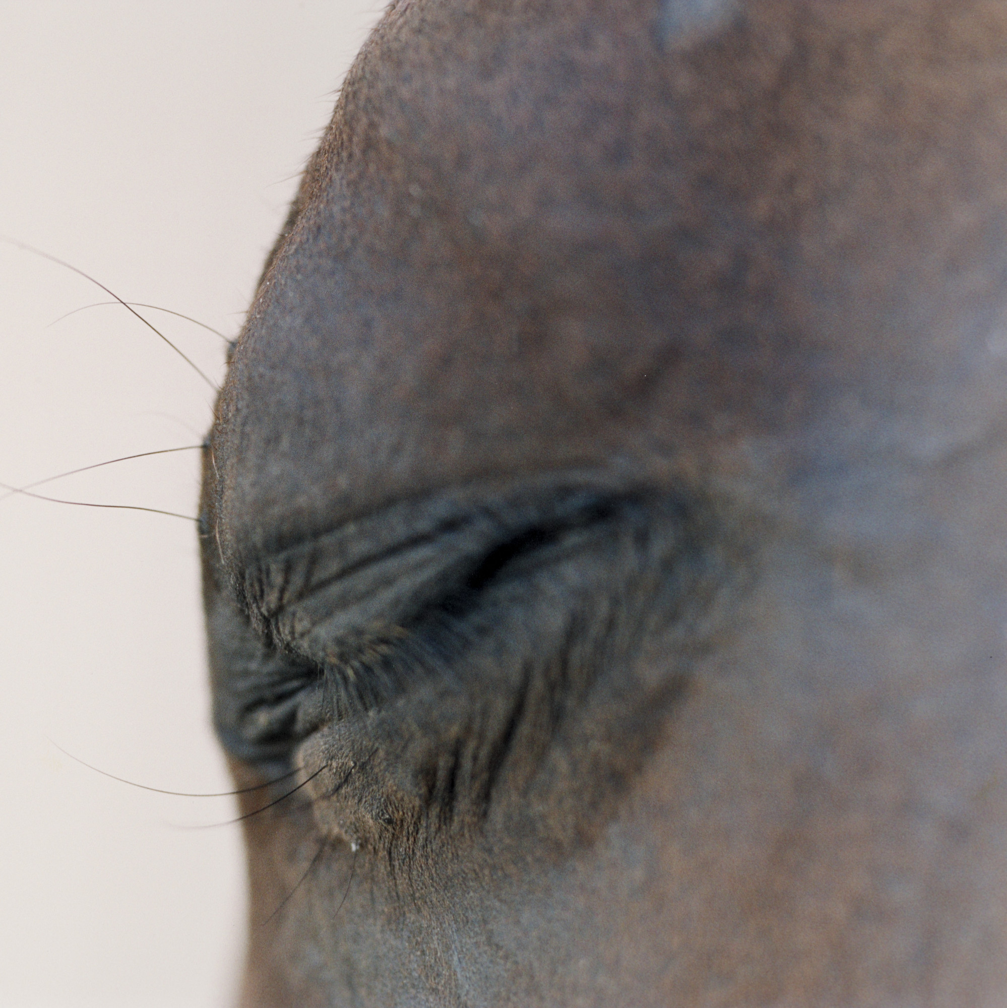 Susan Unterberg. Untitled Number 14
