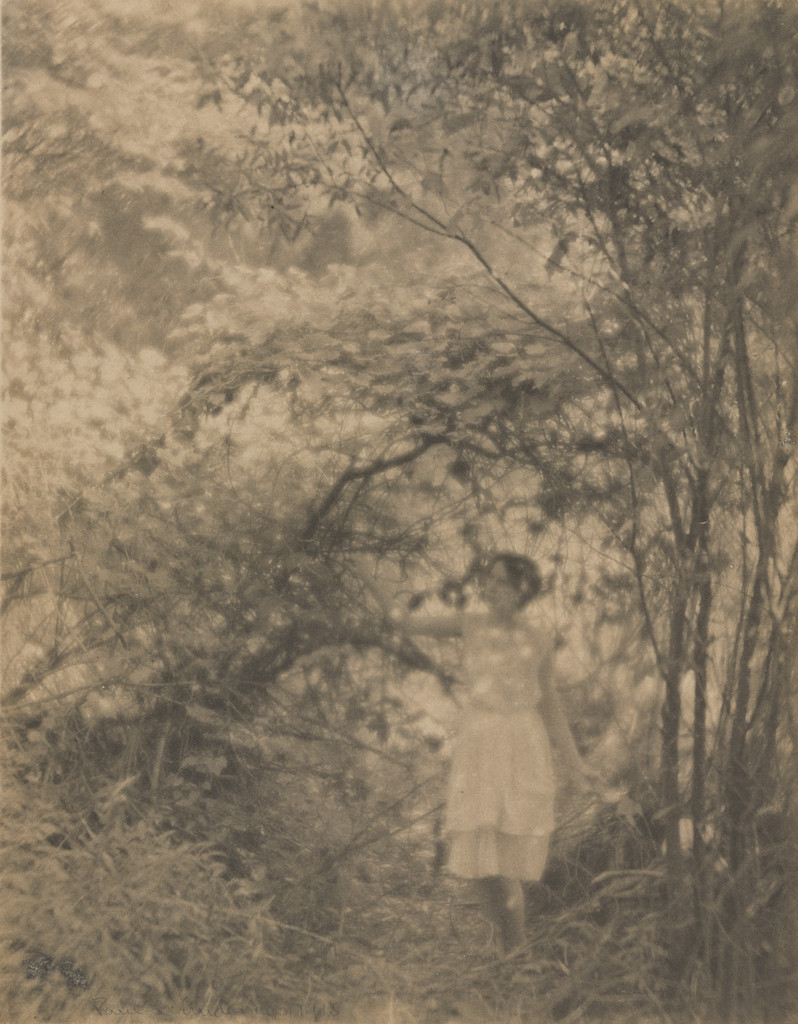 Lady in Woods