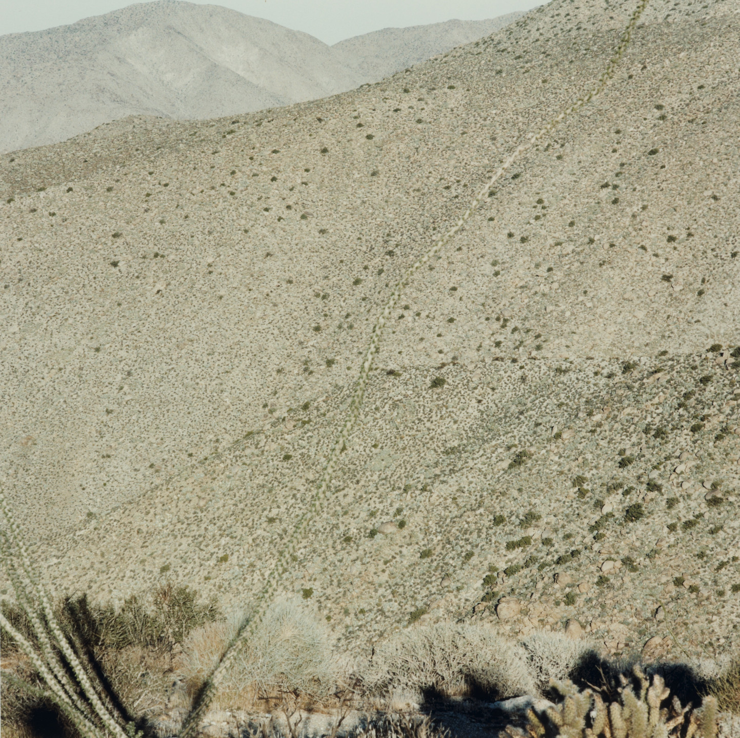 Terry Husebye. Untitled, (desert scene with cactus foreground, mountain background). 1981