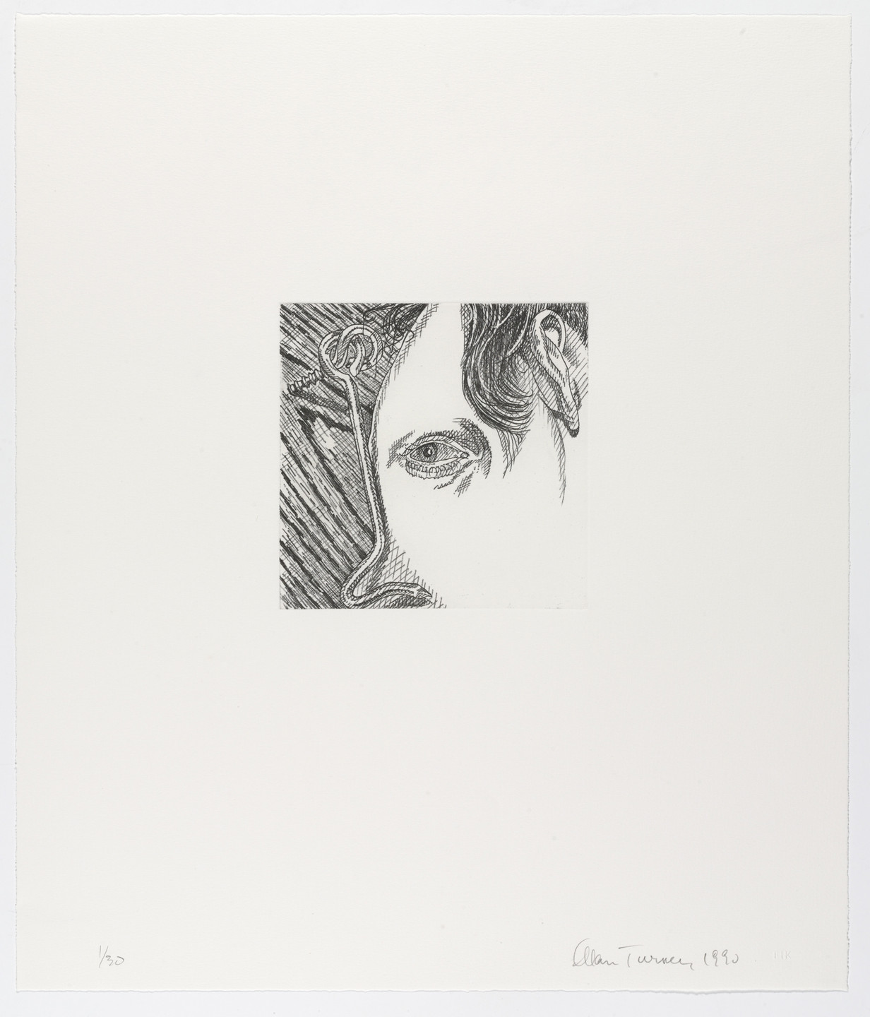 Alan Turner. Hook and Eye. 1990