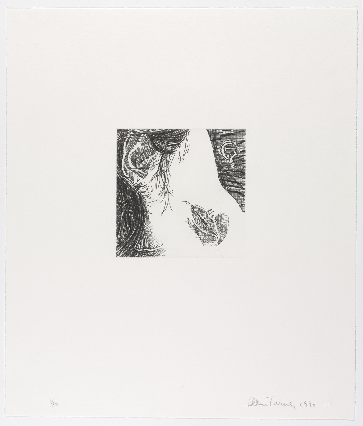 Alan Turner. Hook and Eye. 1990