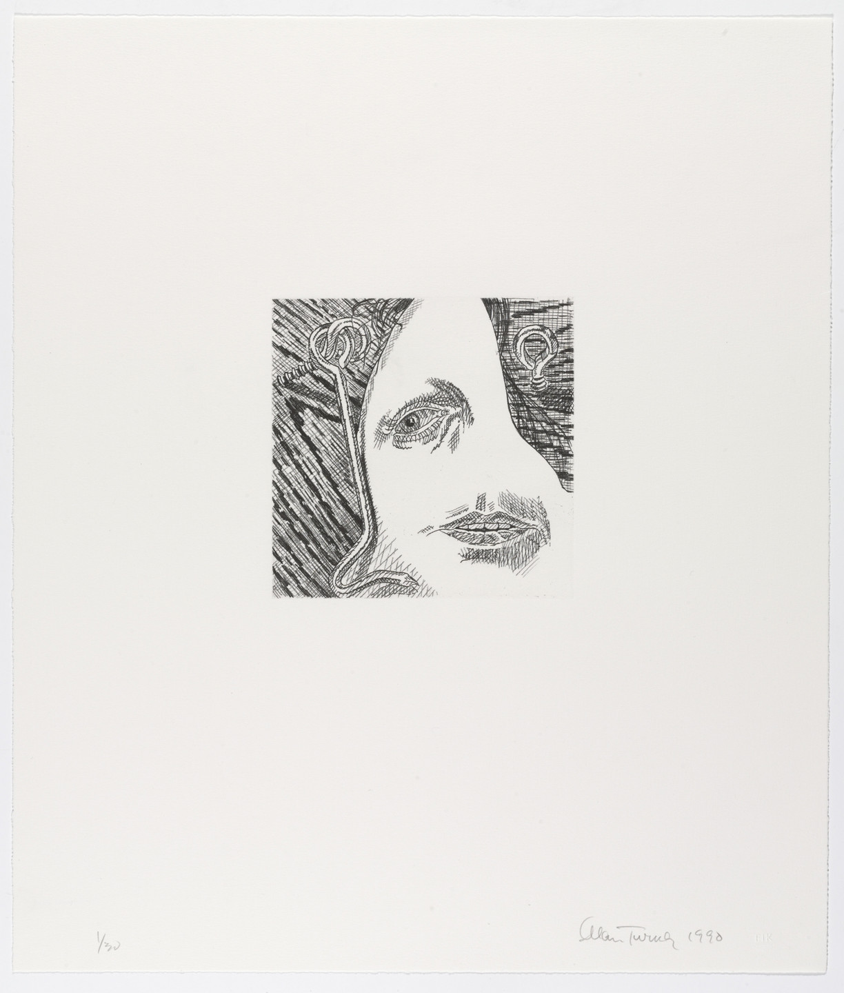 Alan Turner. Hook and Eye. 1990