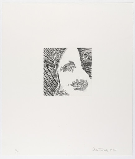 Hook and Eye
