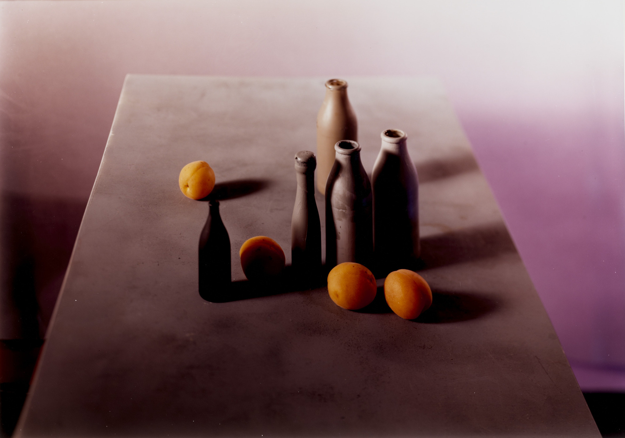 Jan Groover. Untitled. 1987