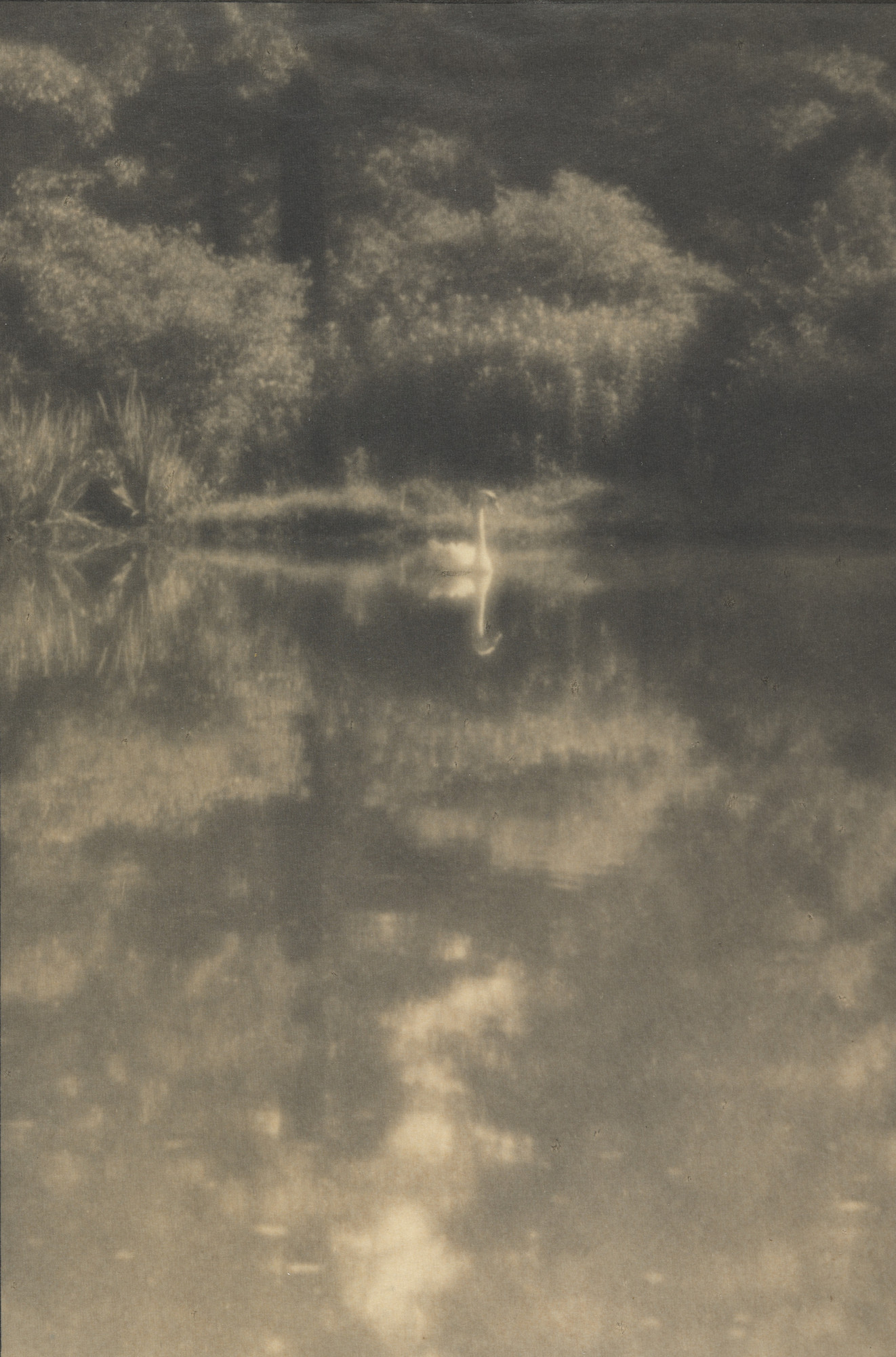 Paul L. Anderson. The Swan