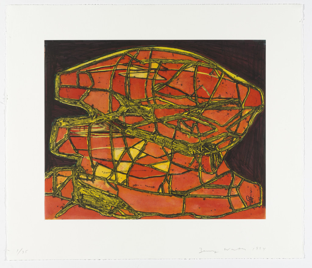 Models for Synthetic Pictures, Terry Winters, 1994