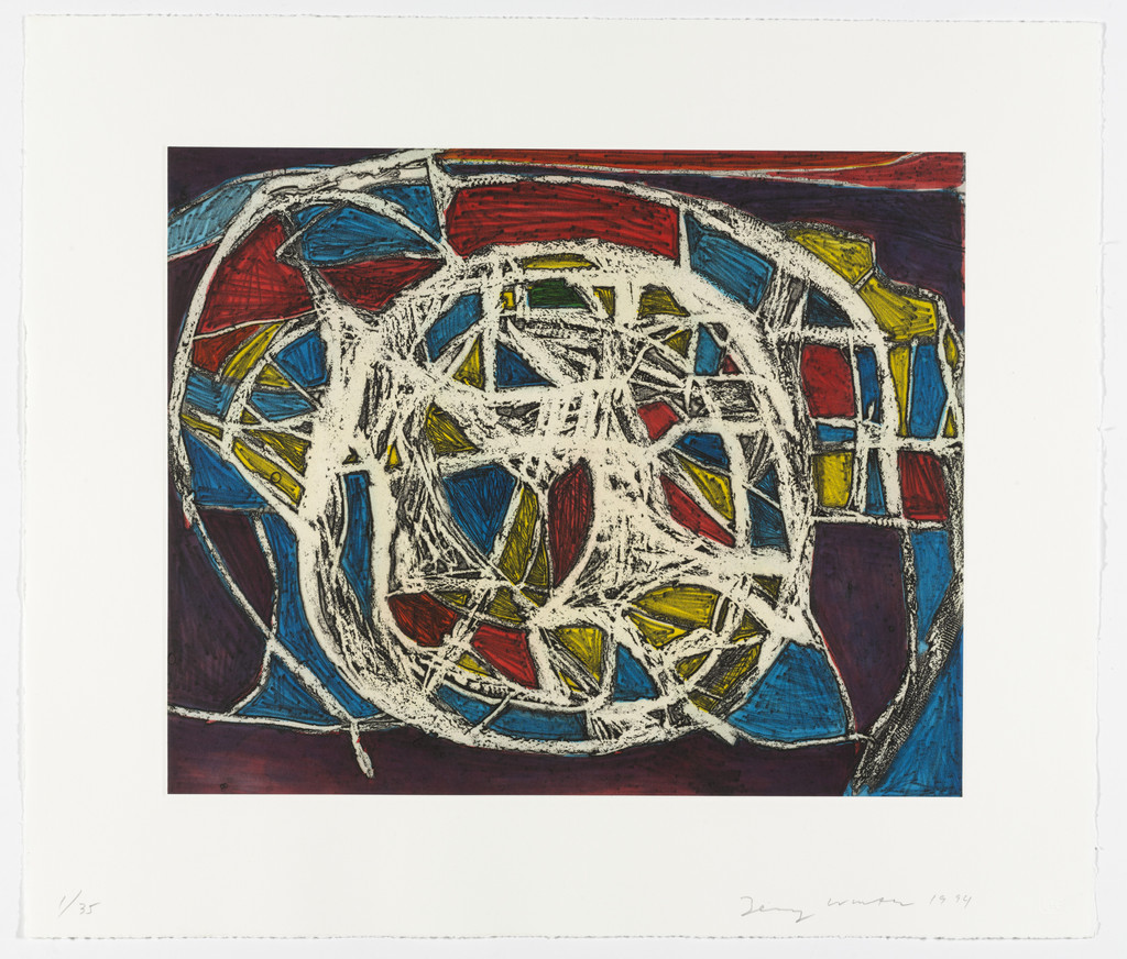Models for Synthetic Pictures, Terry Winters, 1994
