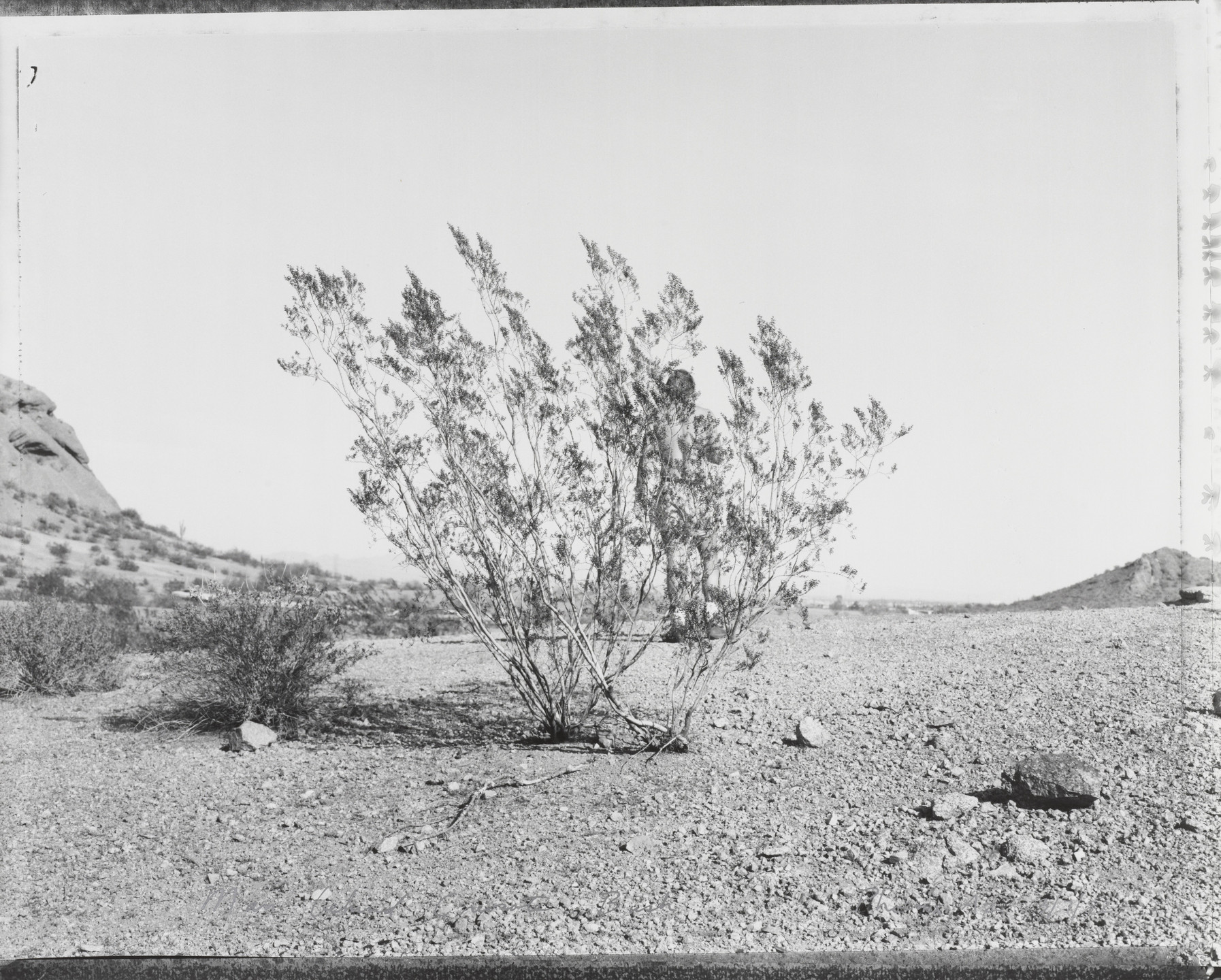Mark Klett. Man behind Creosote Bush, Phoenix, AZ. March 7, 1982