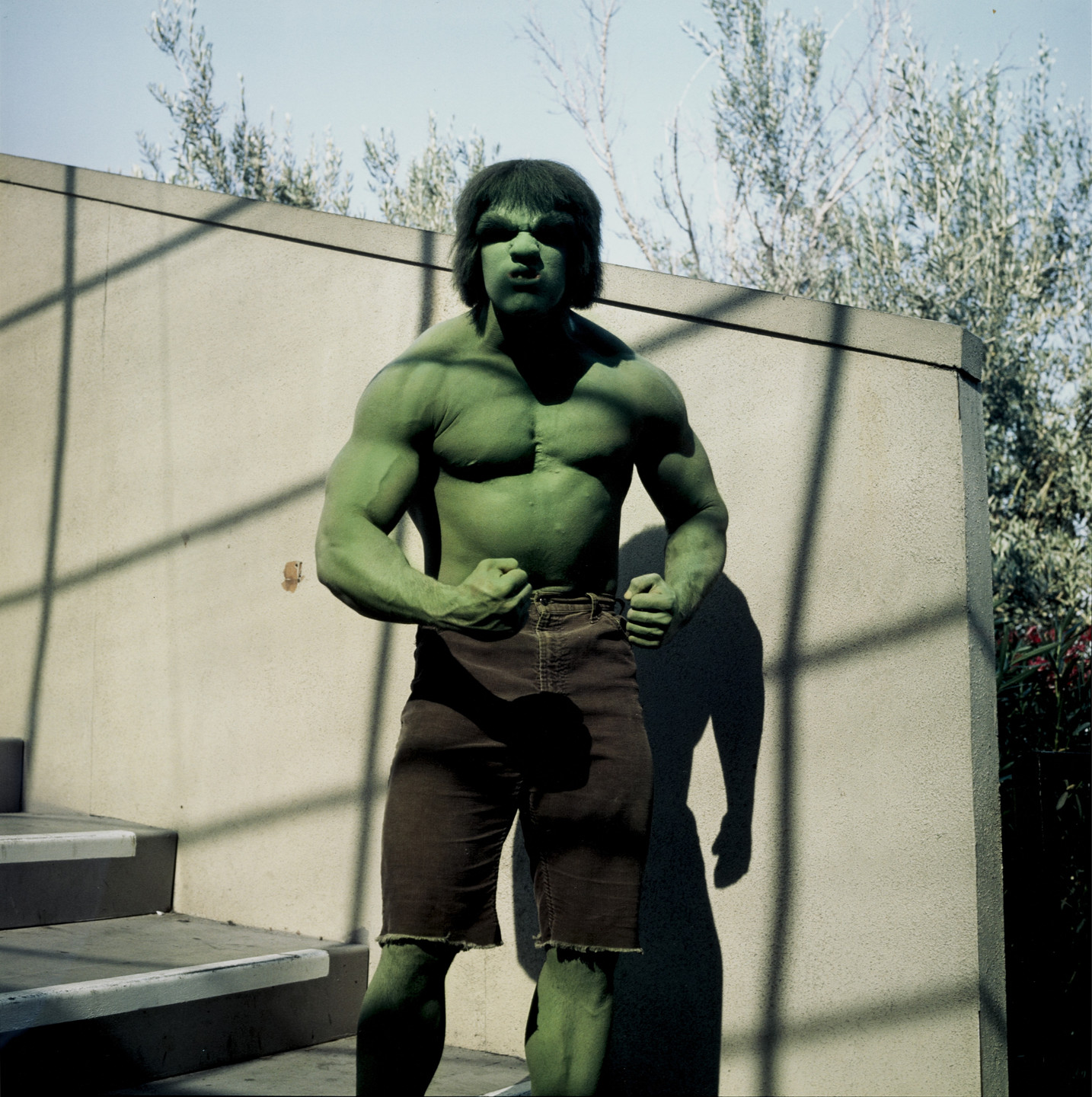 Kenneth McGowan. Hulk. 1979