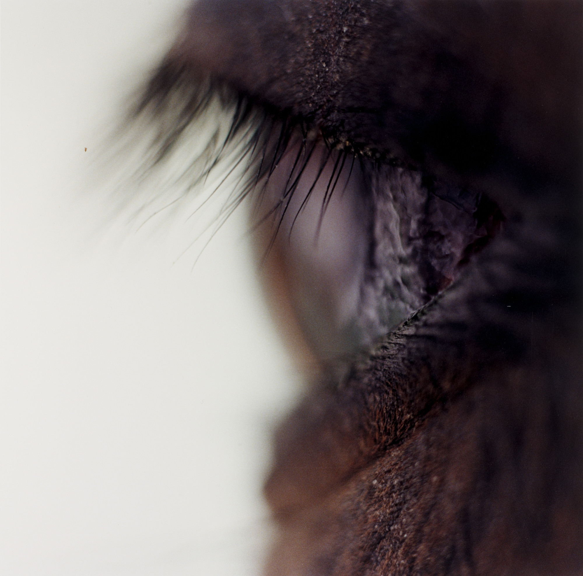 Susan Unterberg. Untitled Number 26